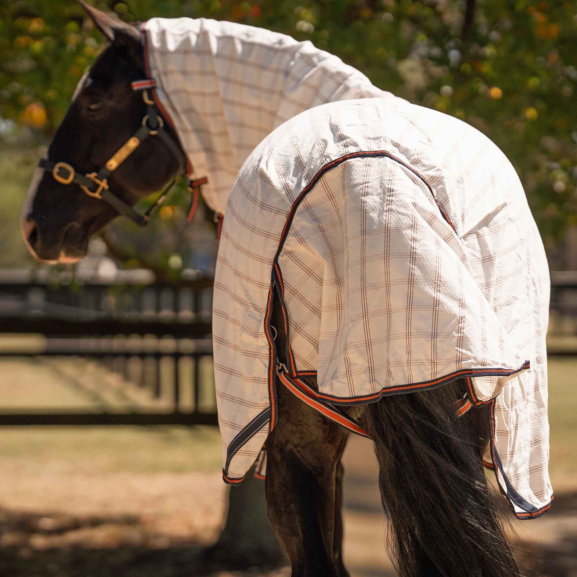 Caribu Ripstop Combo XL Gusset Horse Rug Navy Kumquat - Image 31