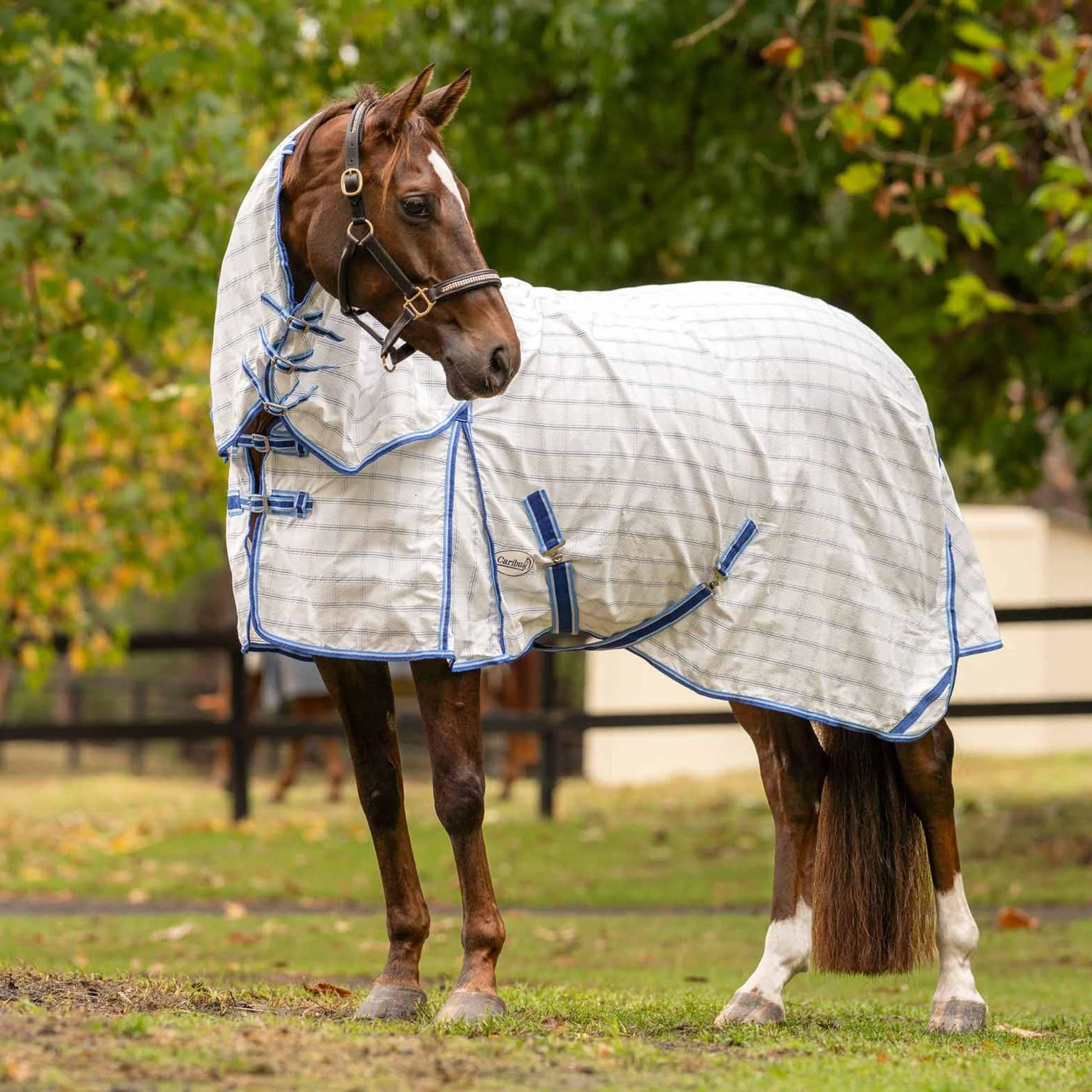 Caribu Ripstop Detach-a-Neck Horse Rug - Image 5