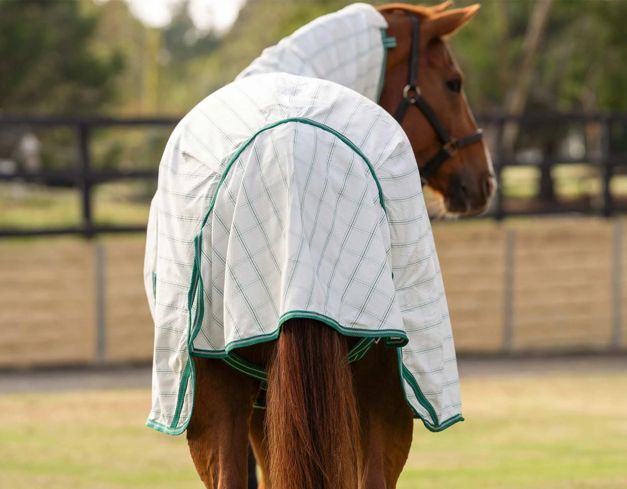 Caribu Ripstop Combo Horse Rug - Image 113