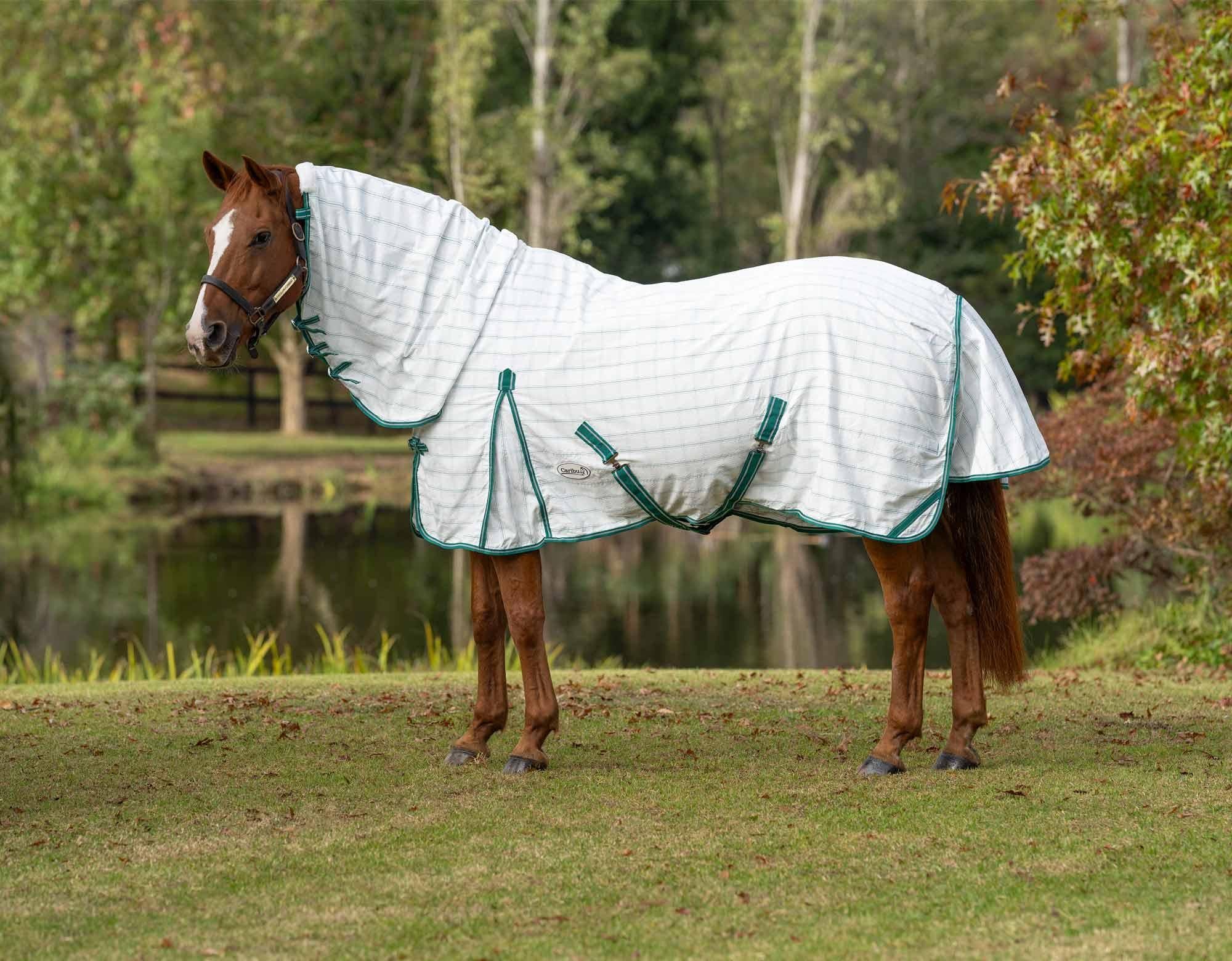 Caribu Ripstop Combo Horse Rug - Image 41
