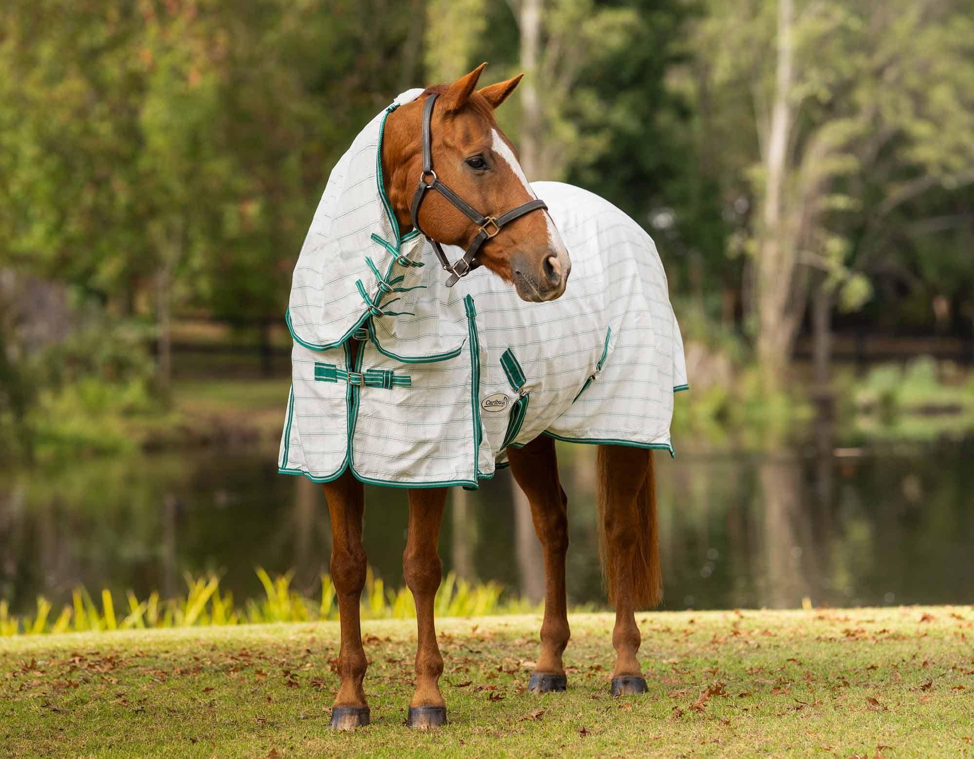Caribu Ripstop Combo Horse Rug - Image 5