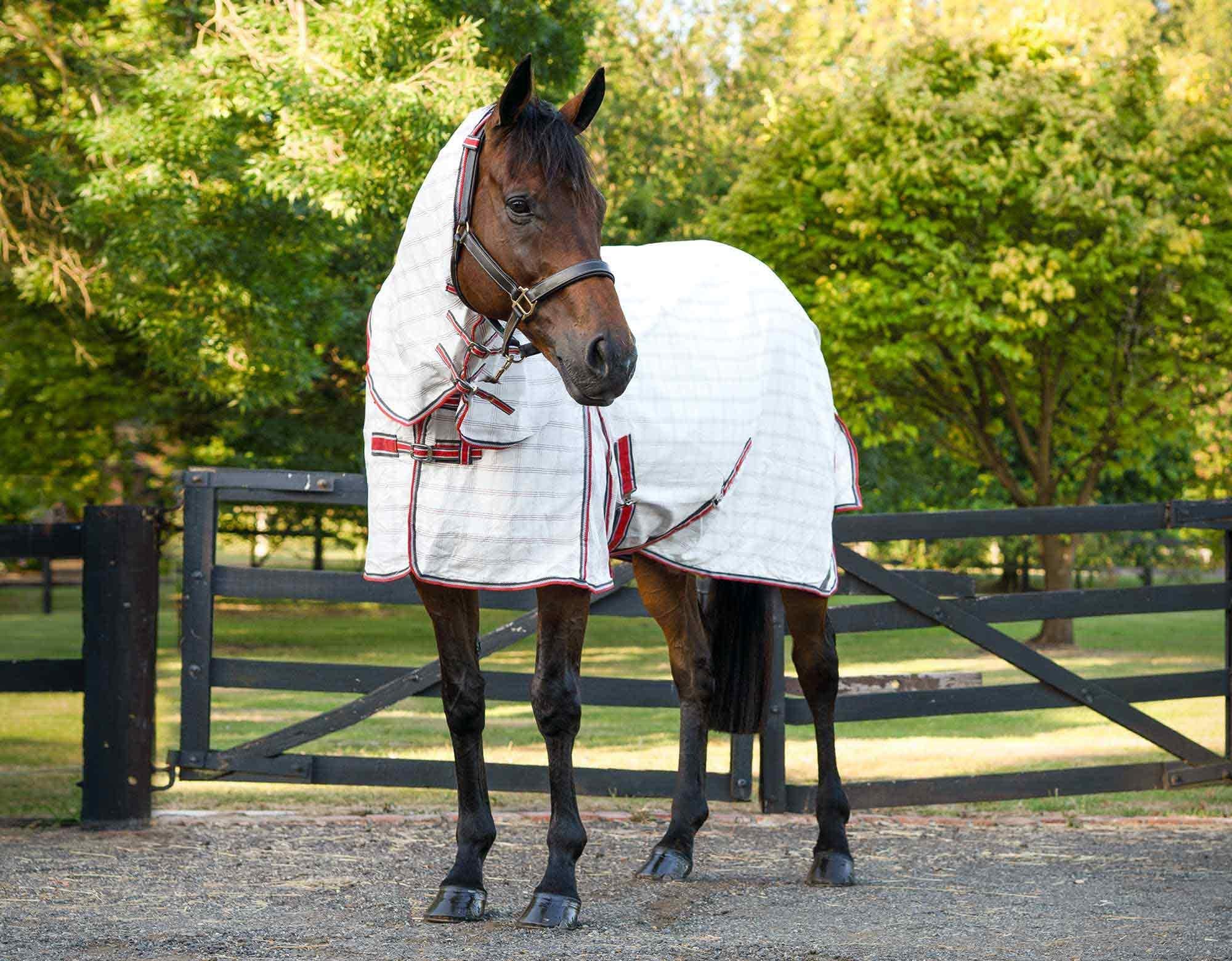 Caribu Ripstop Combo Horse Rug - Image 64