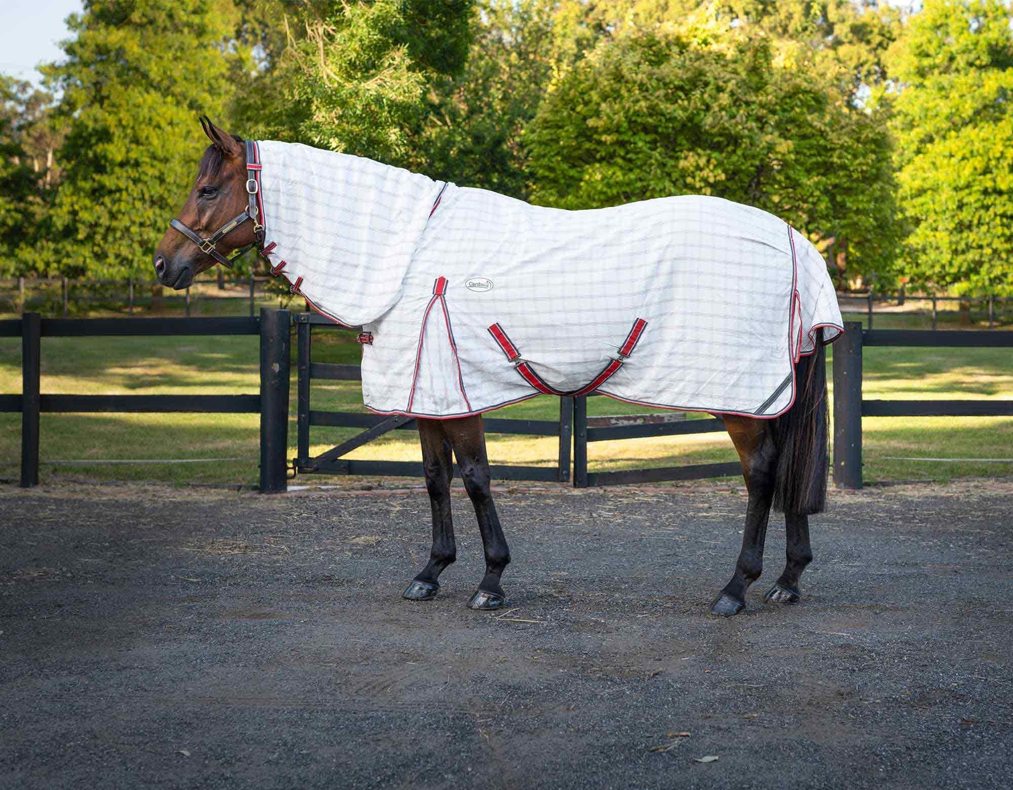 Caribu Ripstop Combo Horse Rug - Image 85