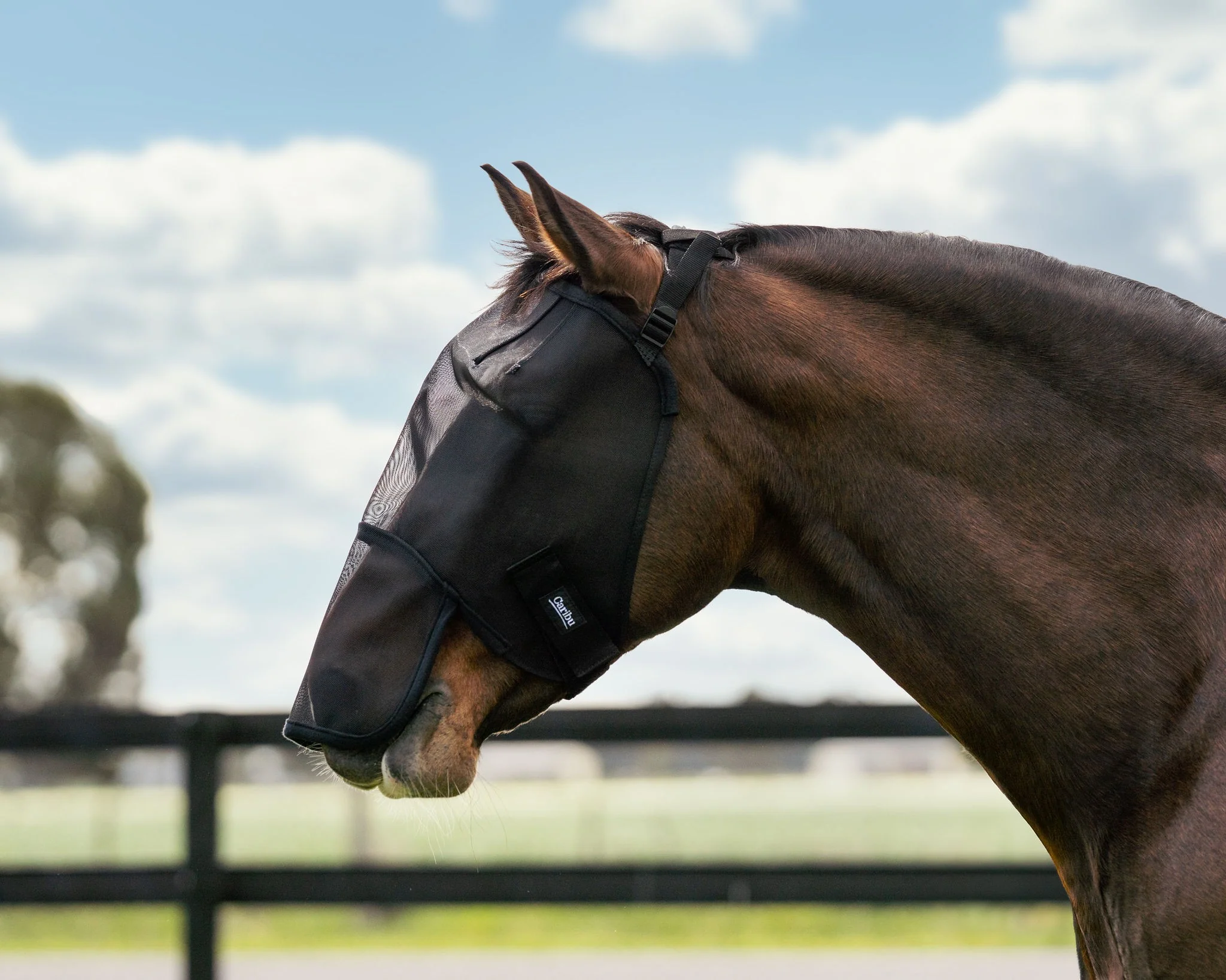 Caribu Standard Horse Fly Mask With Nose - Image 2