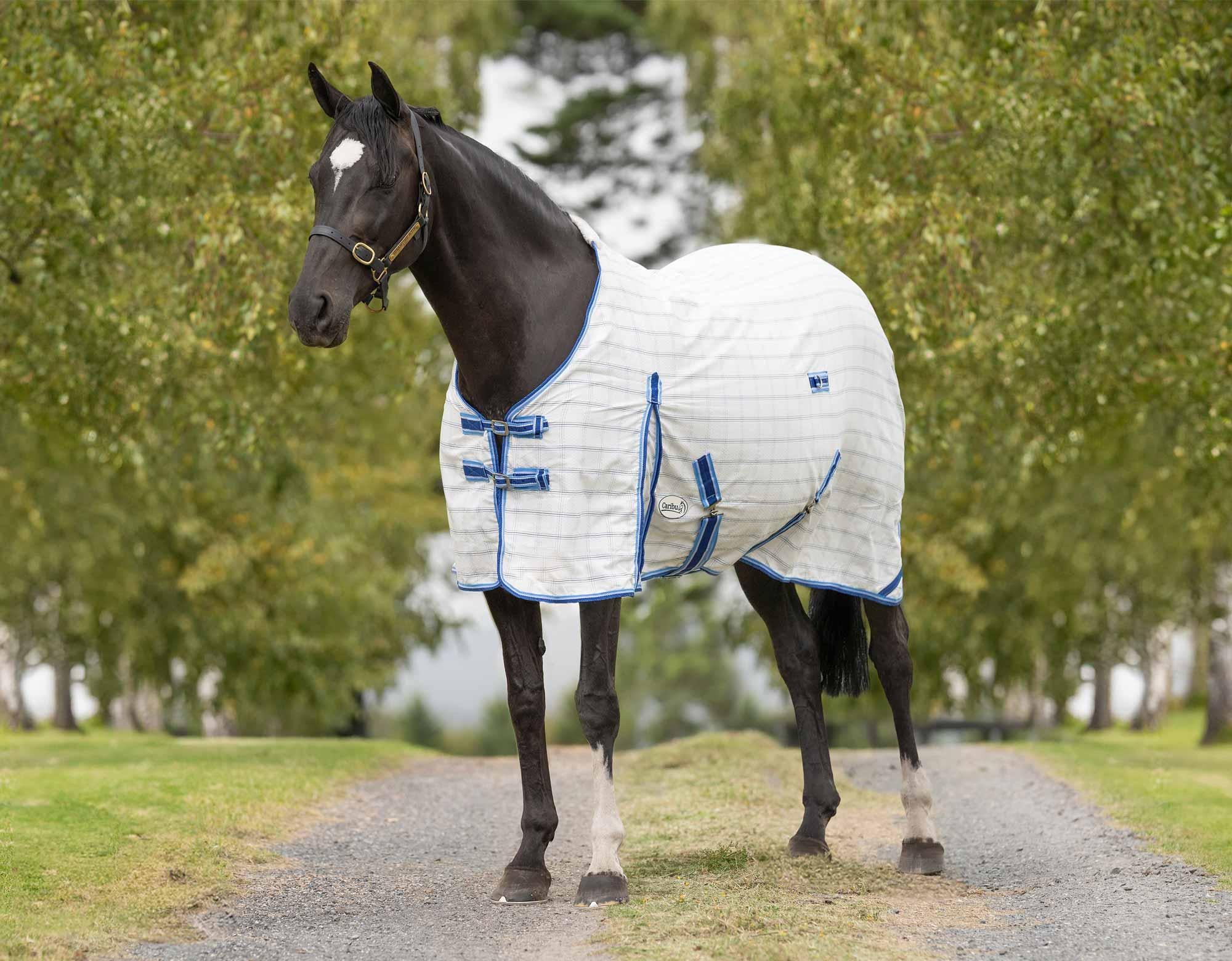 Caribu Summer Ripstop Horse Rug - Image 11