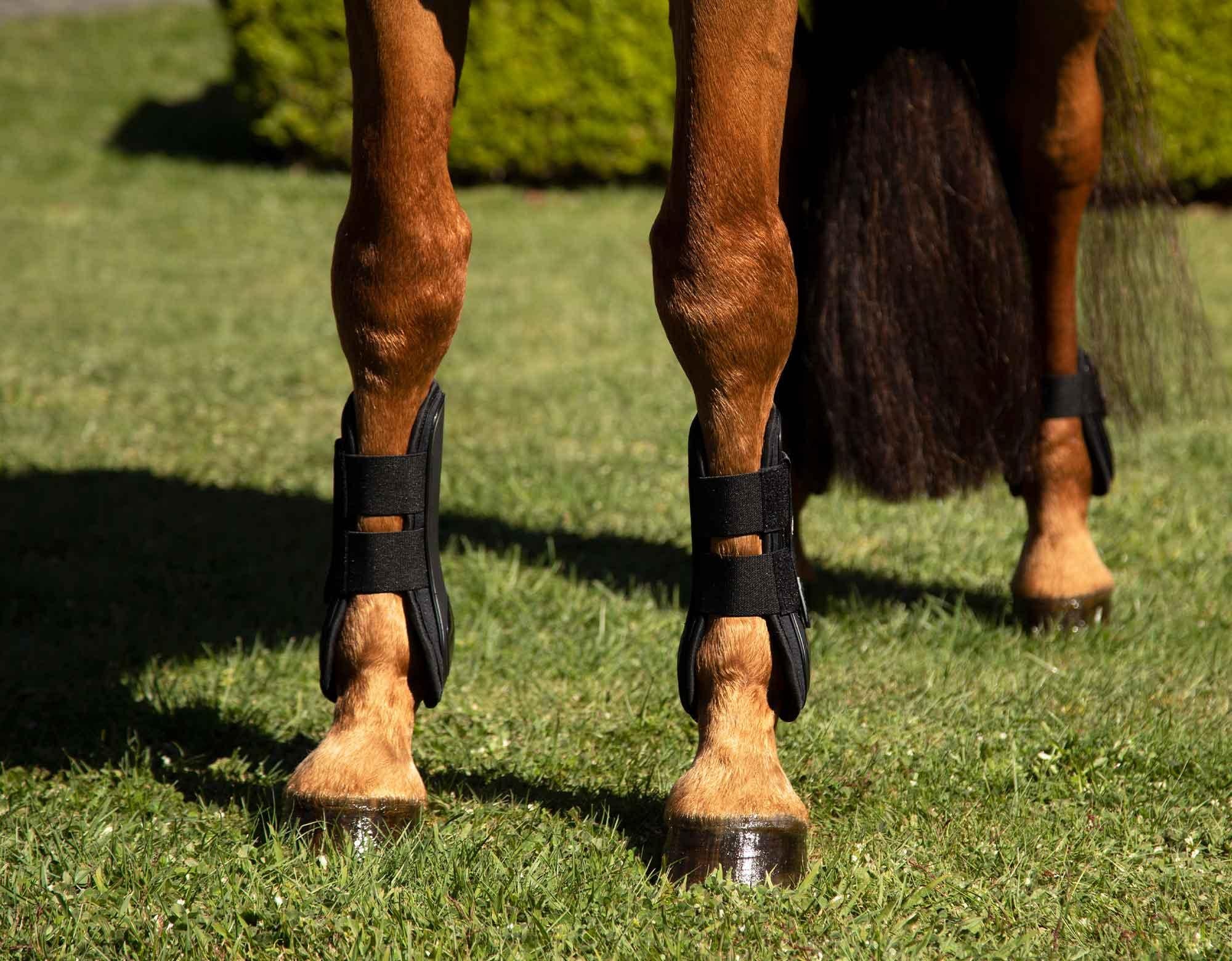Caribu Tendon Boots Velcro - Image 33