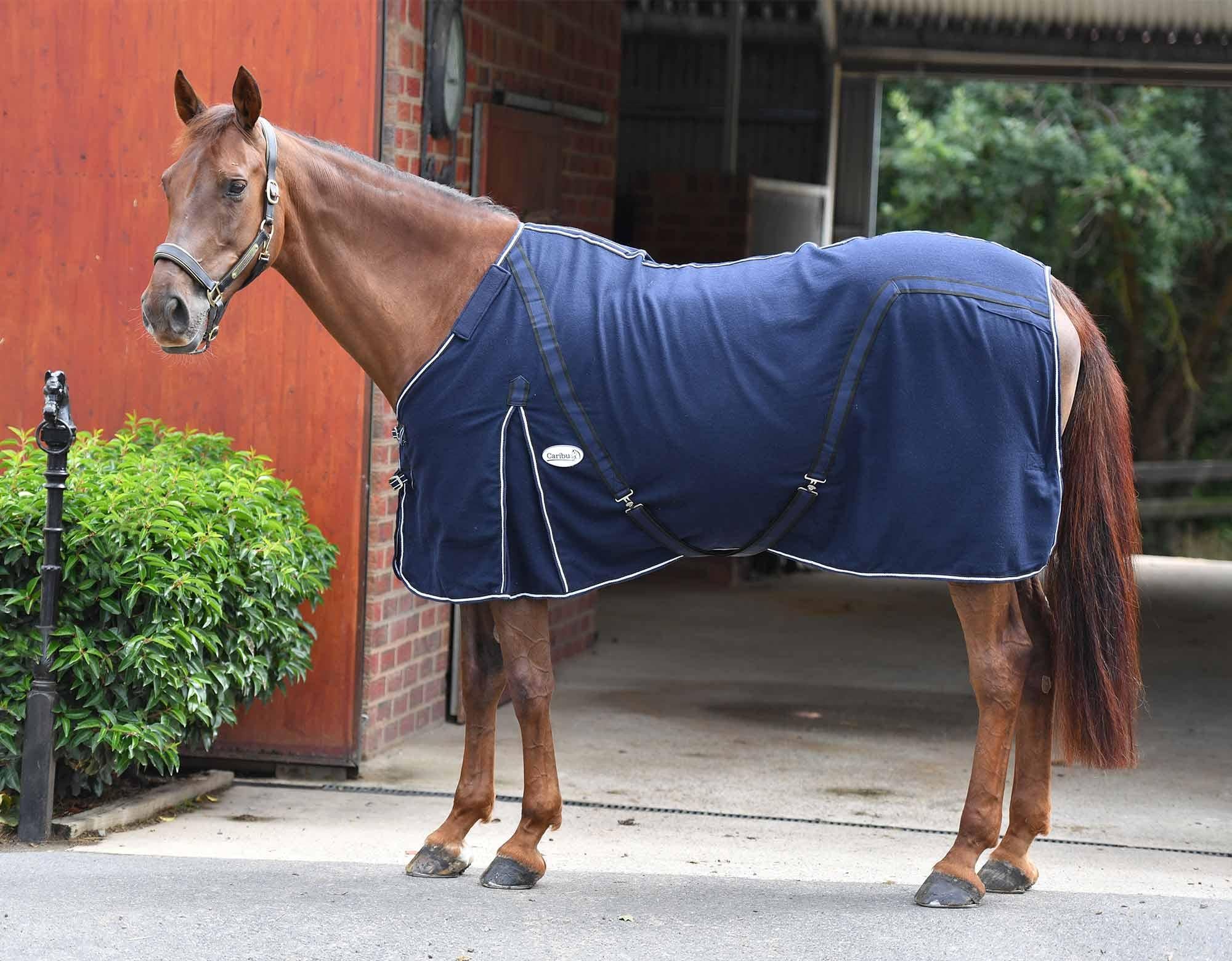 Caribu Detach-a-Neck Wool Horse Rug - Image 133