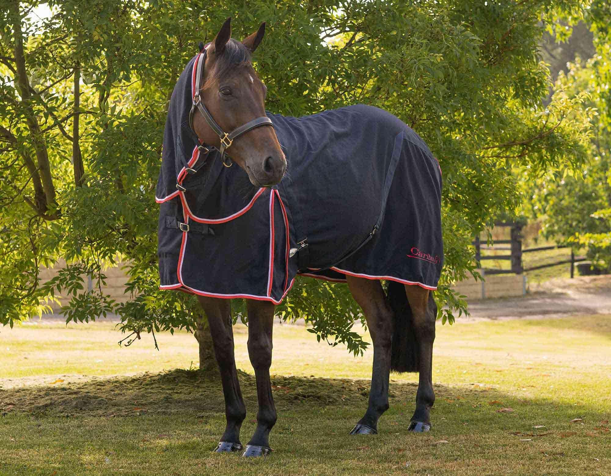 Caribu Detach-a-Neck Wool Horse Rug - Image 159