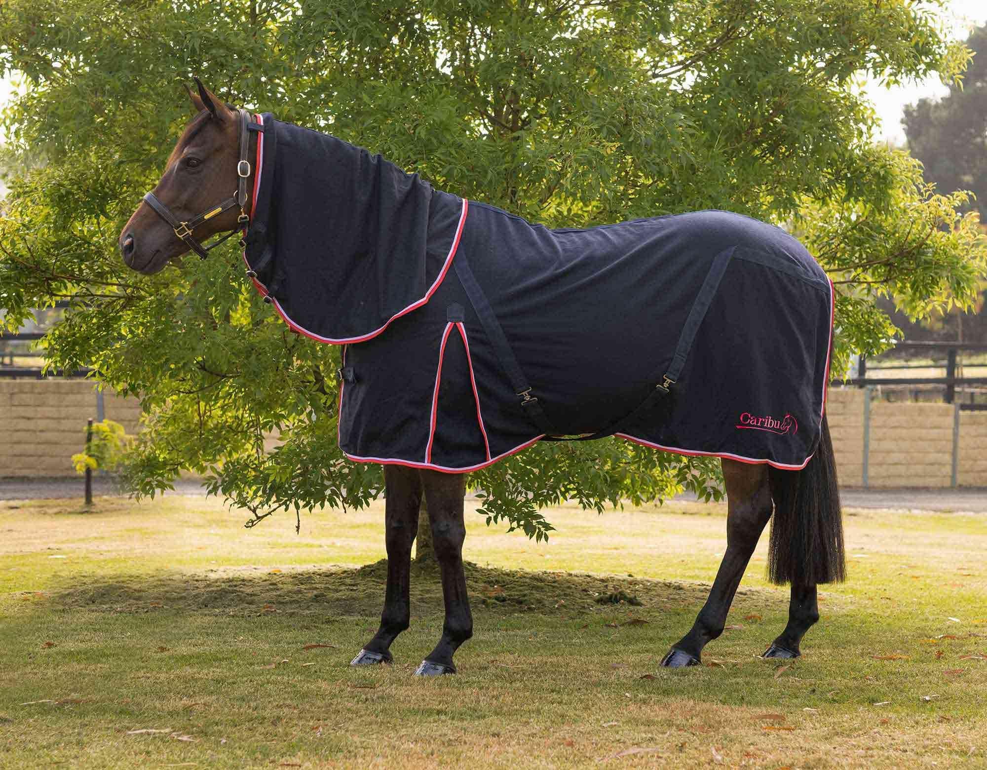 Caribu Detach-a-Neck Wool Horse Rug - Image 168