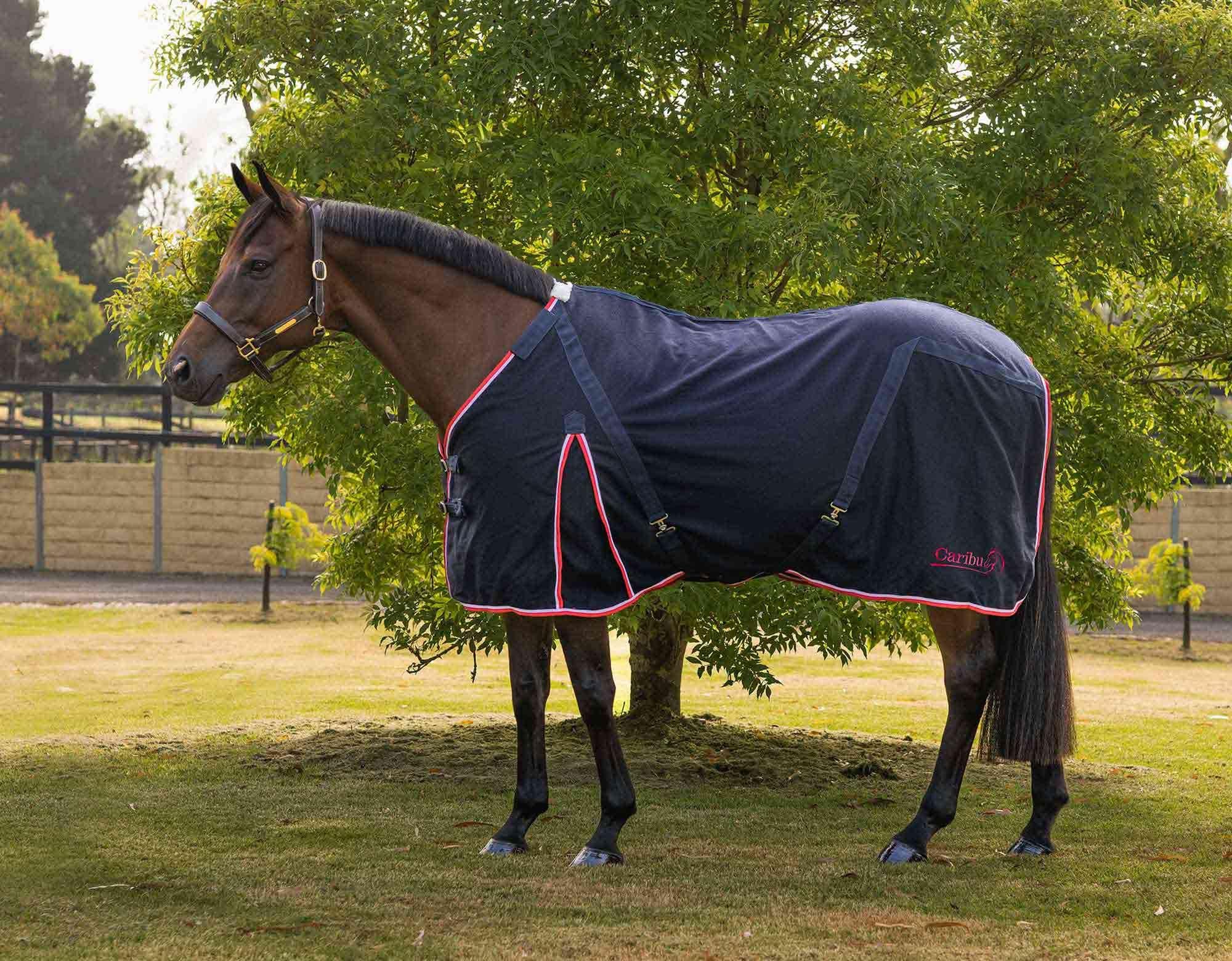Caribu Detach-a-Neck Wool Horse Rug - Image 240