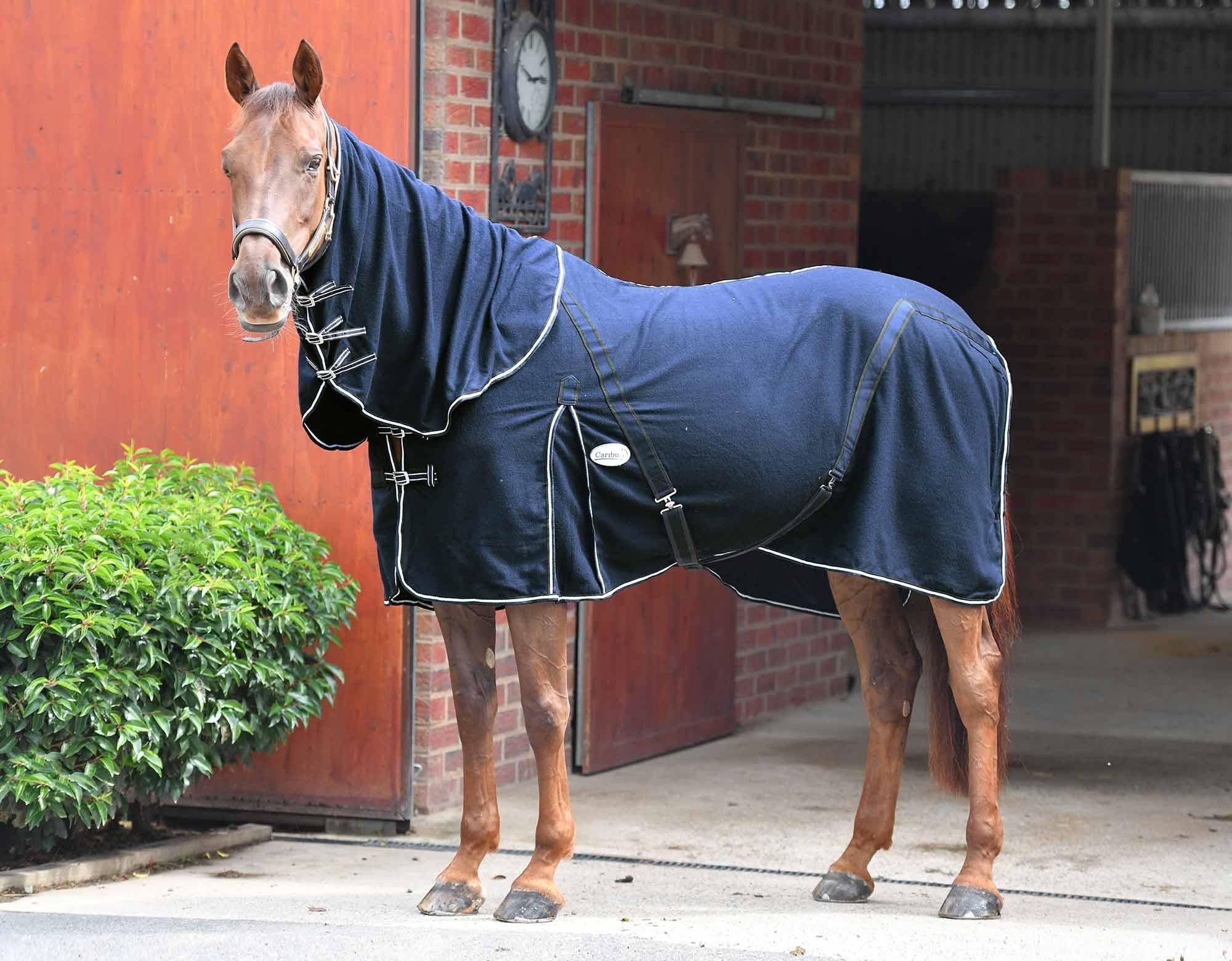 Caribu Detach-a-Neck Wool Horse Rug - Image 54