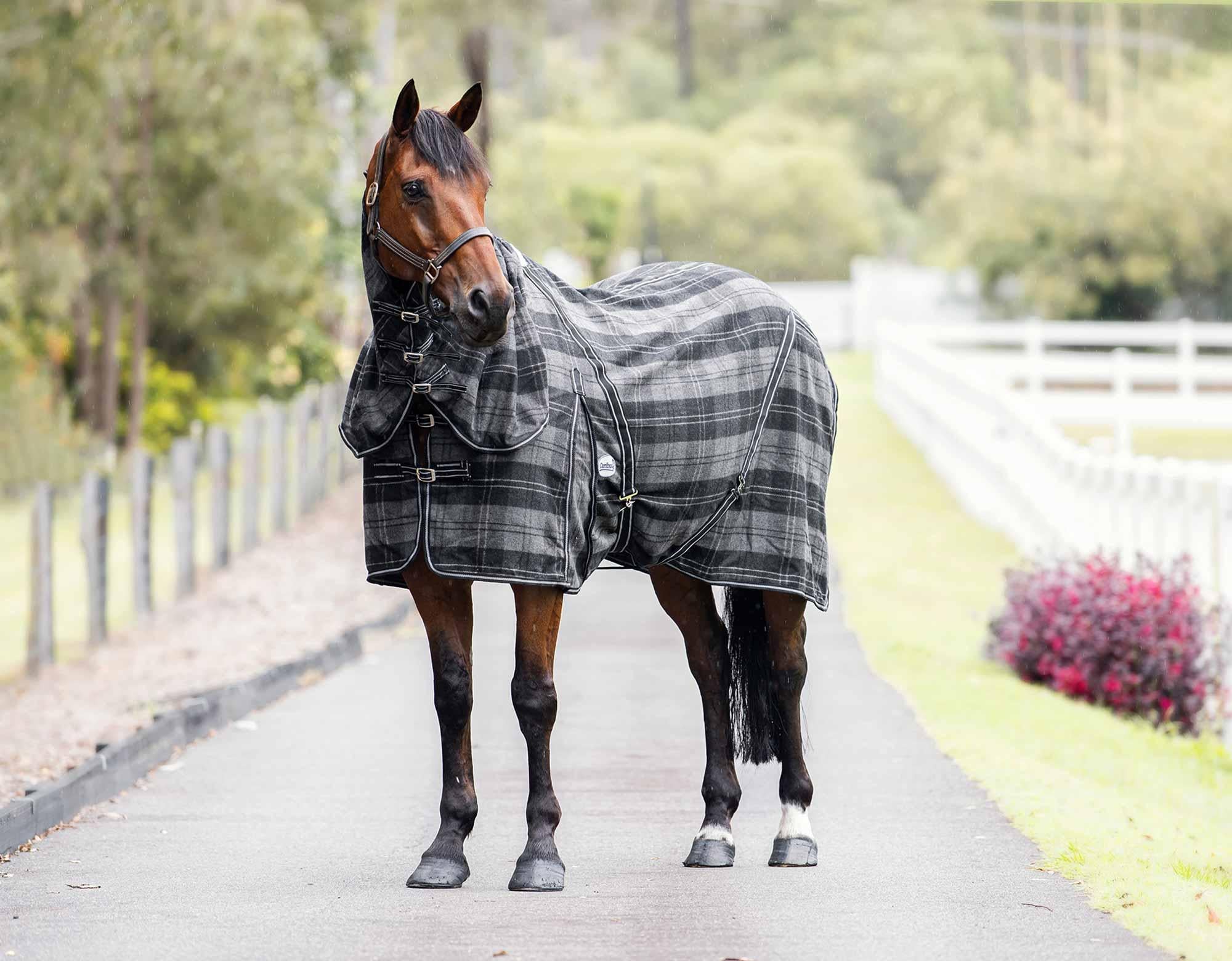 Caribu Combo Wool Horse Rug - Image 7