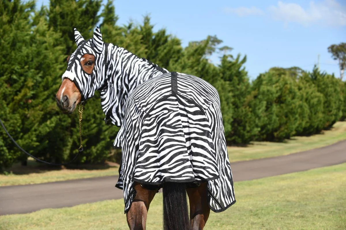 Caribu Zebra Euro Mesh Hooded Combo - Image 4