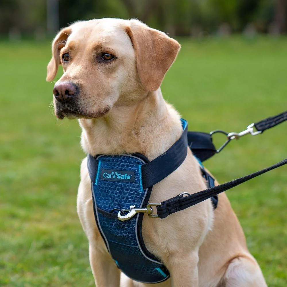 CarSafe Crash Tested Dog Harness - Image 6