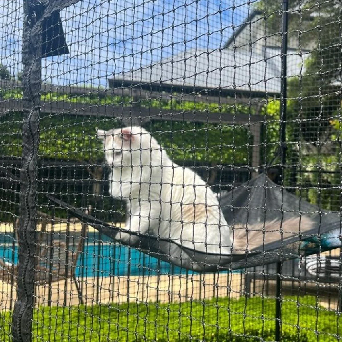 Catnets Fortress Cat Enclosure - Image 6