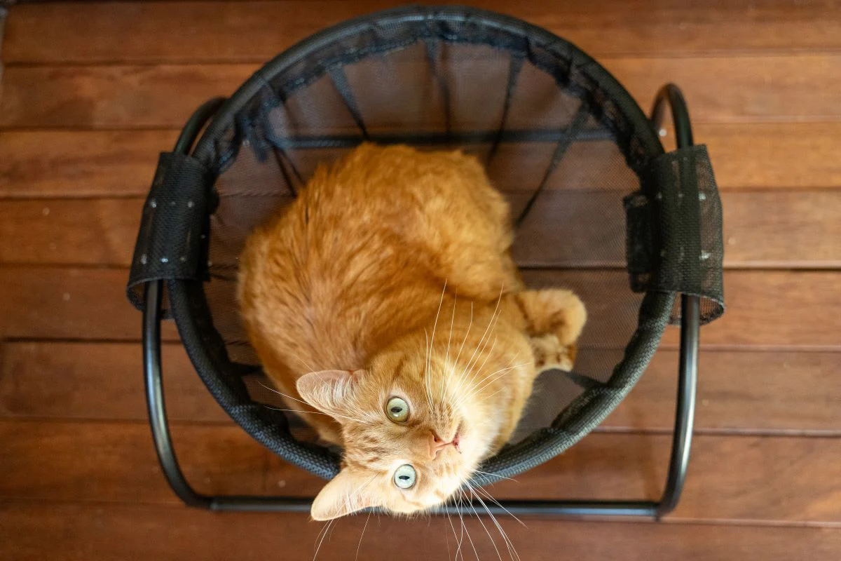 Catnets Skywalks Floor Hammock - Image 2