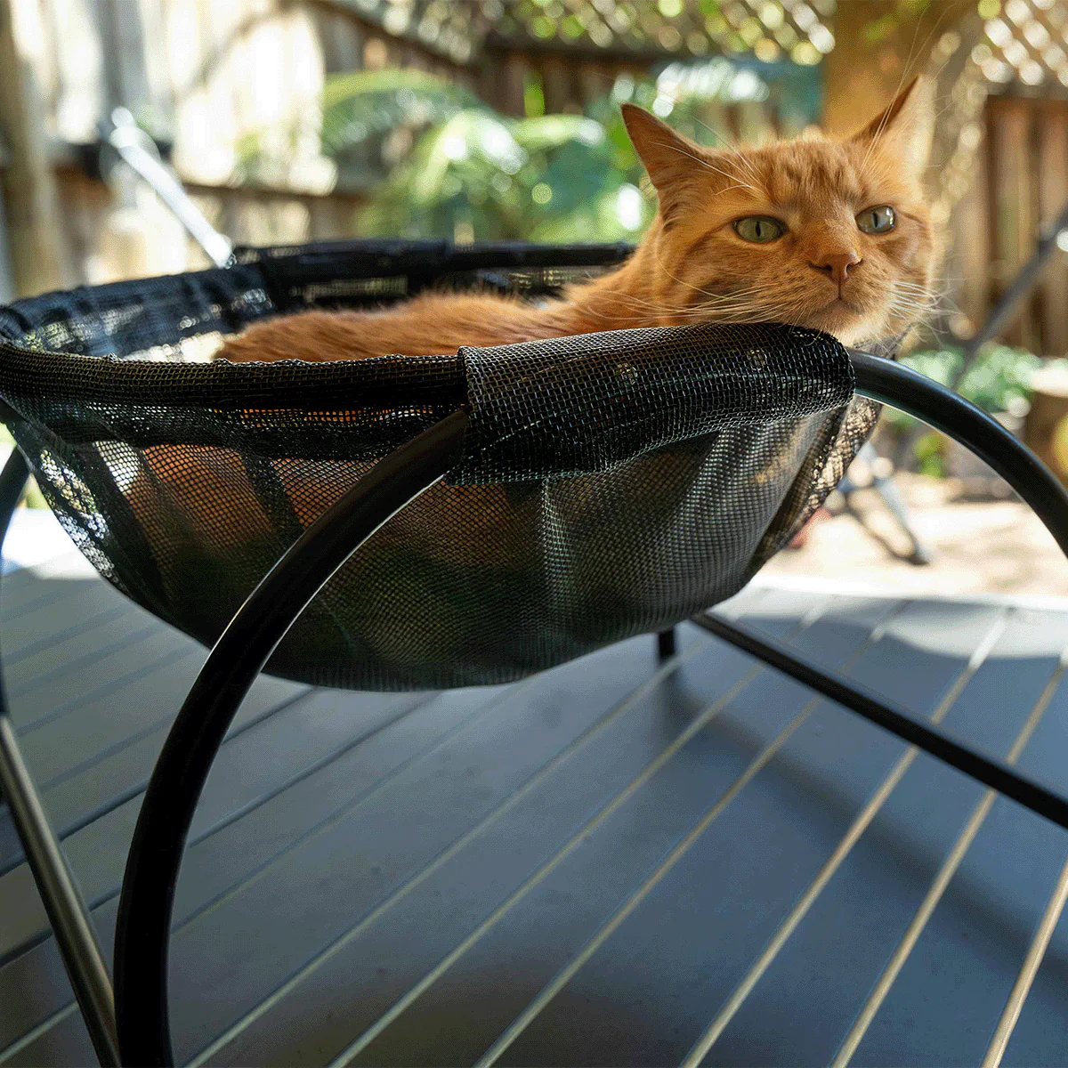 Catnets Skywalks Floor Hammock - Image 3