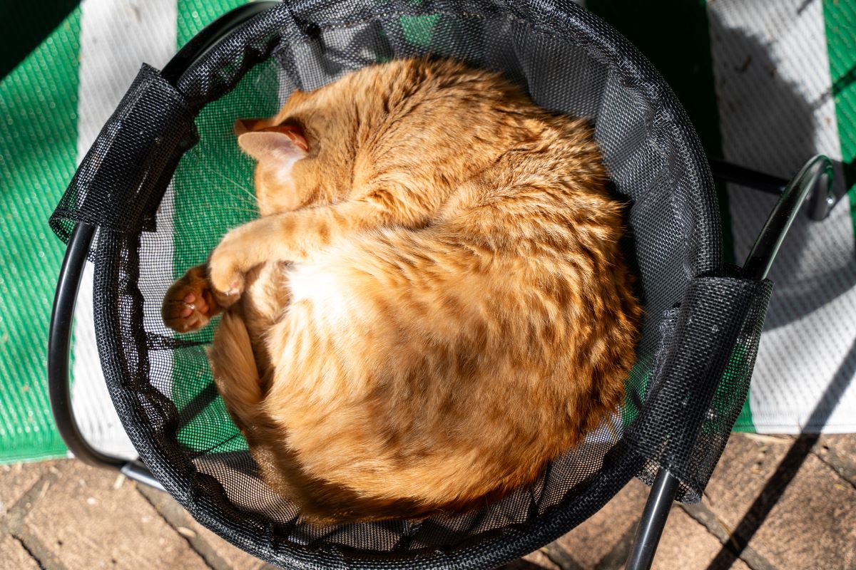 Catnets Skywalks Floor Hammock - Image 4
