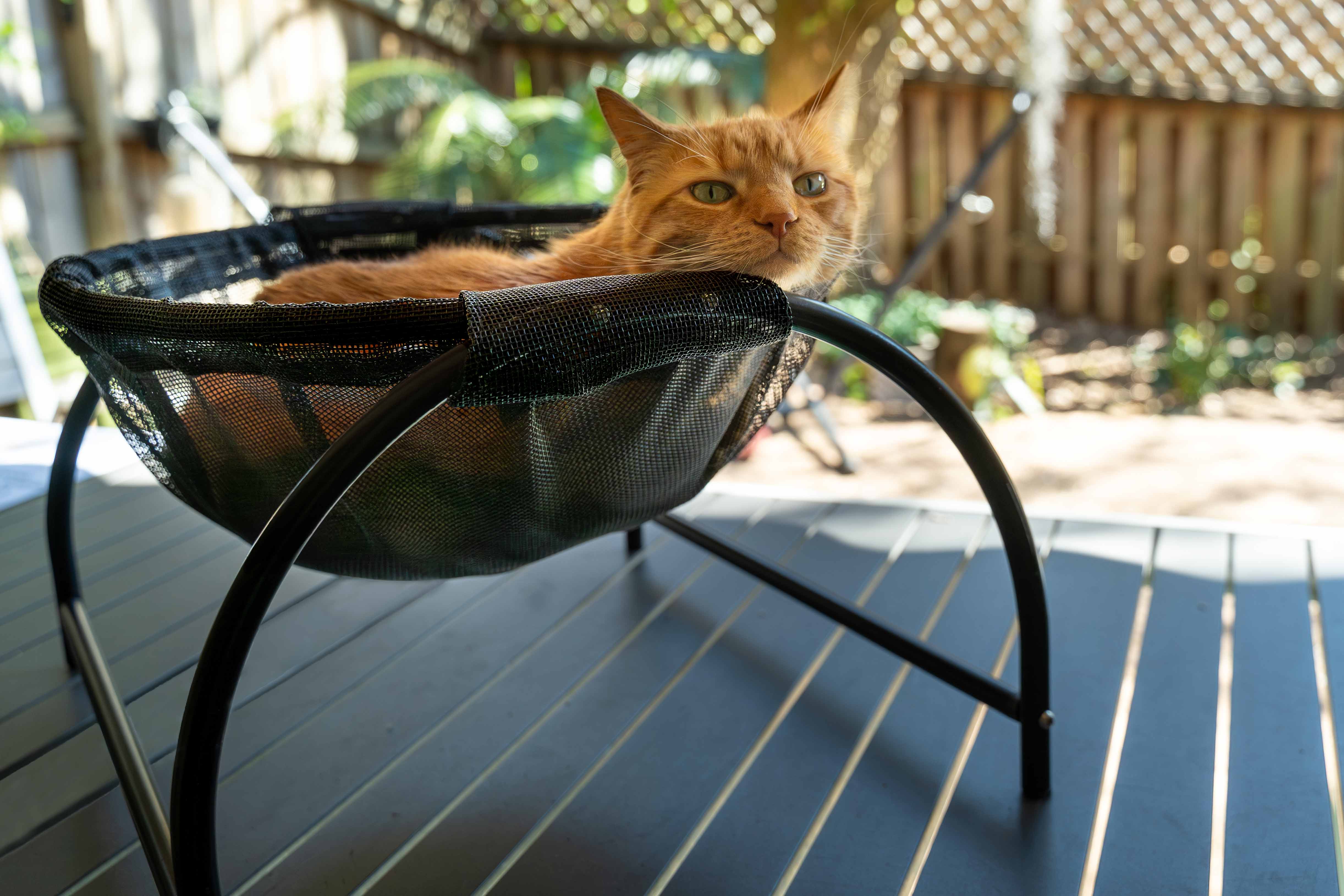 Catnets Skywalks Floor Hammock - Image 6
