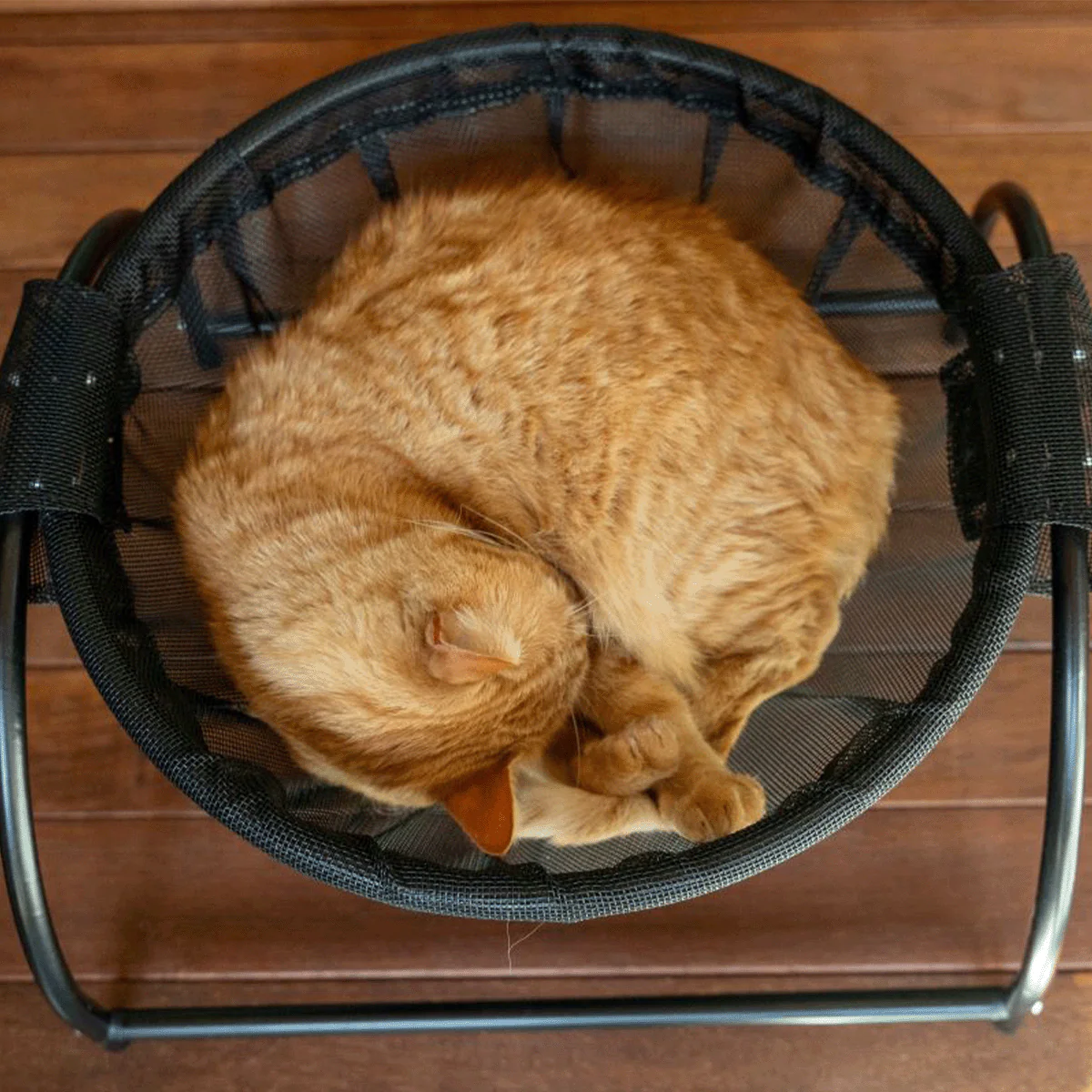 Catnets Skywalks Floor Hammock - Image 7