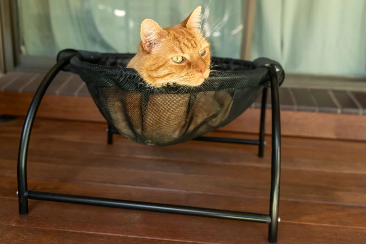 Catnets Skywalks Floor Hammock - Image 8