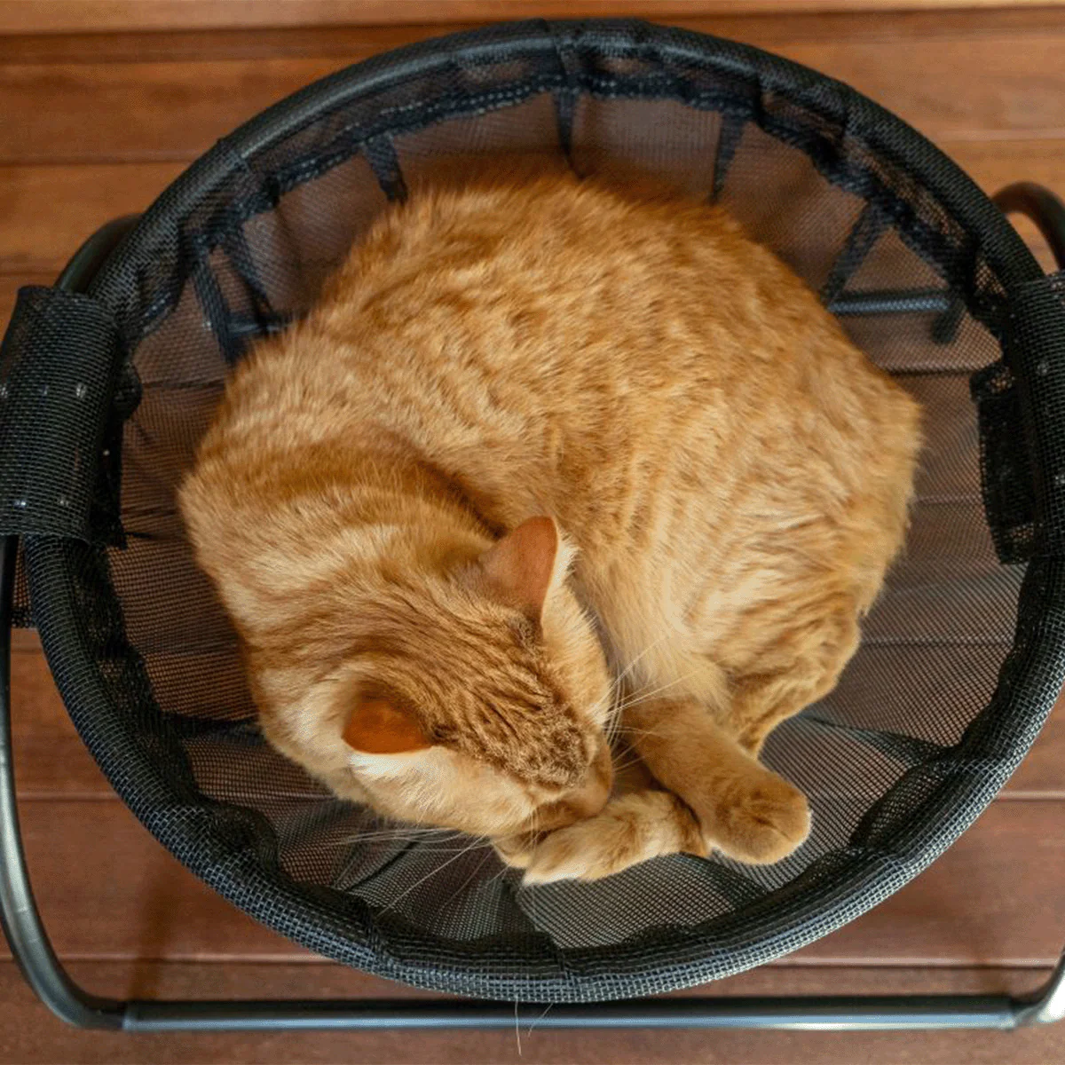 Catnets Skywalks Floor Hammock - Image 9