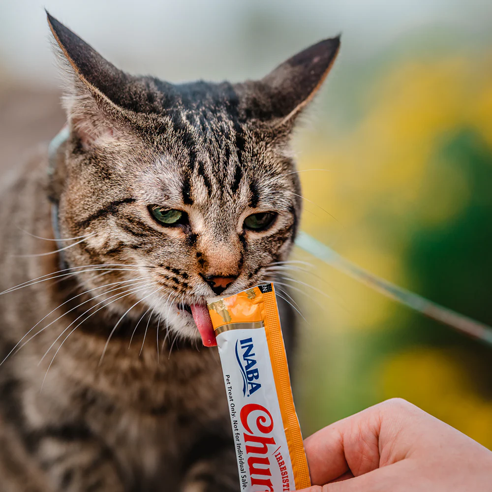 Inaba Churu Puree Tuna Cat Treats - Image 3