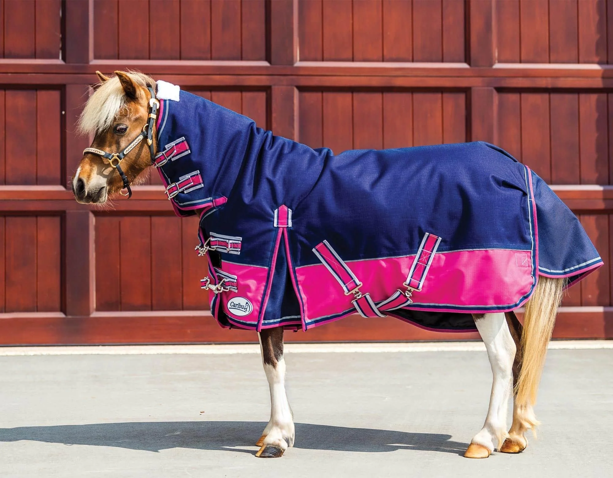 Caribu Mini Eclipse Combo Horse Rug - Image 10