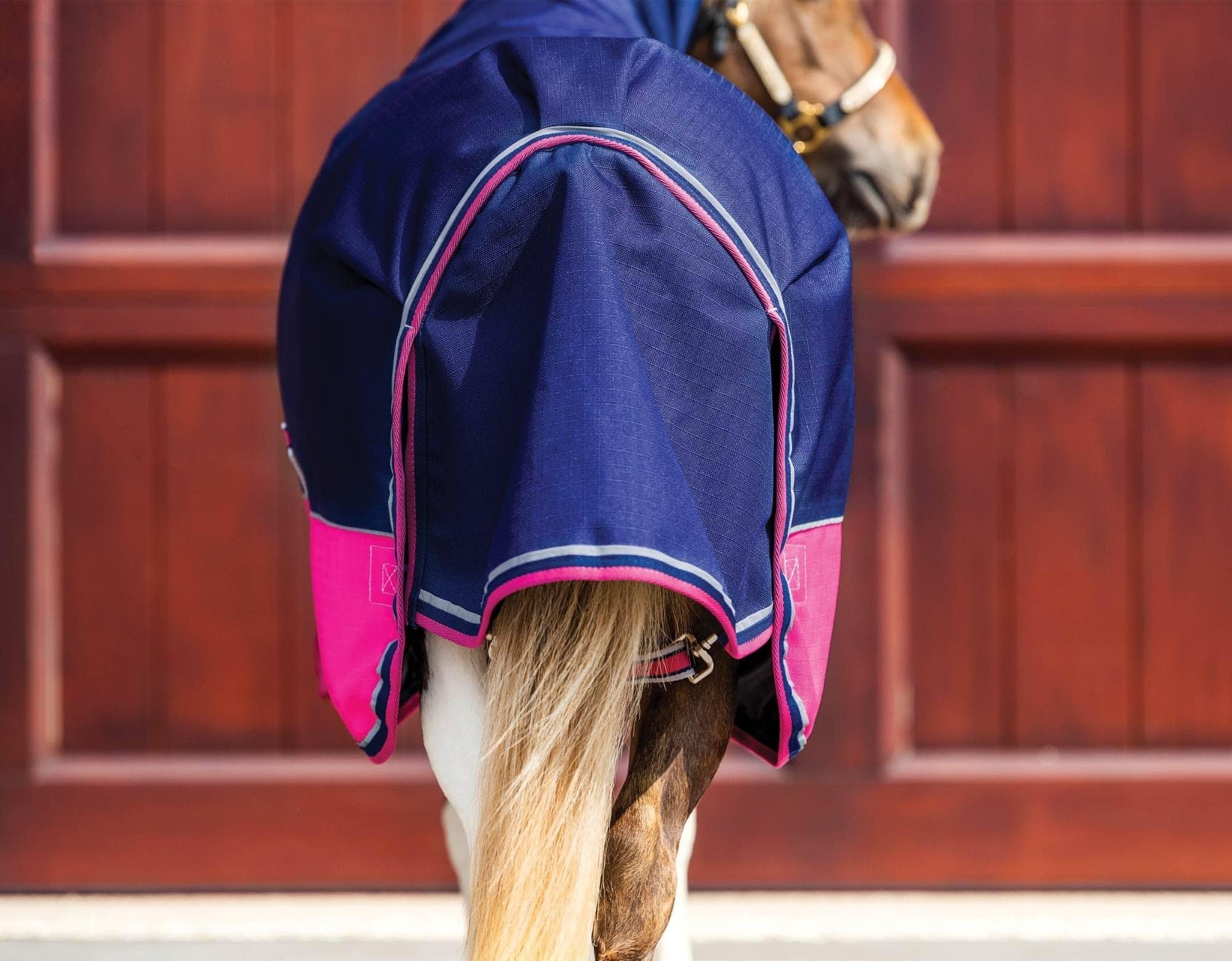Caribu Mini Eclipse Combo Horse Rug - Image 18