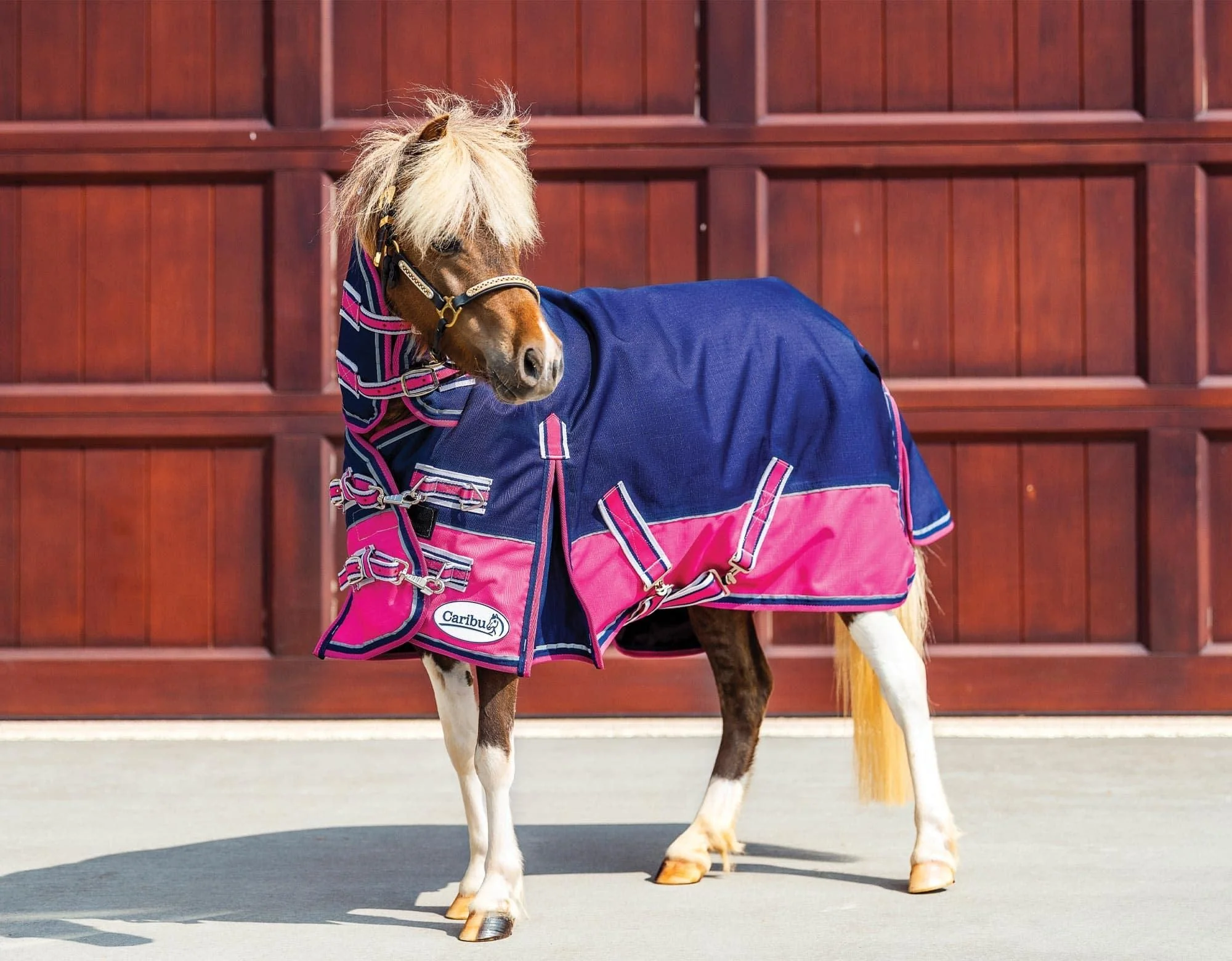 Caribu Mini Eclipse Combo Horse Rug - Image 2
