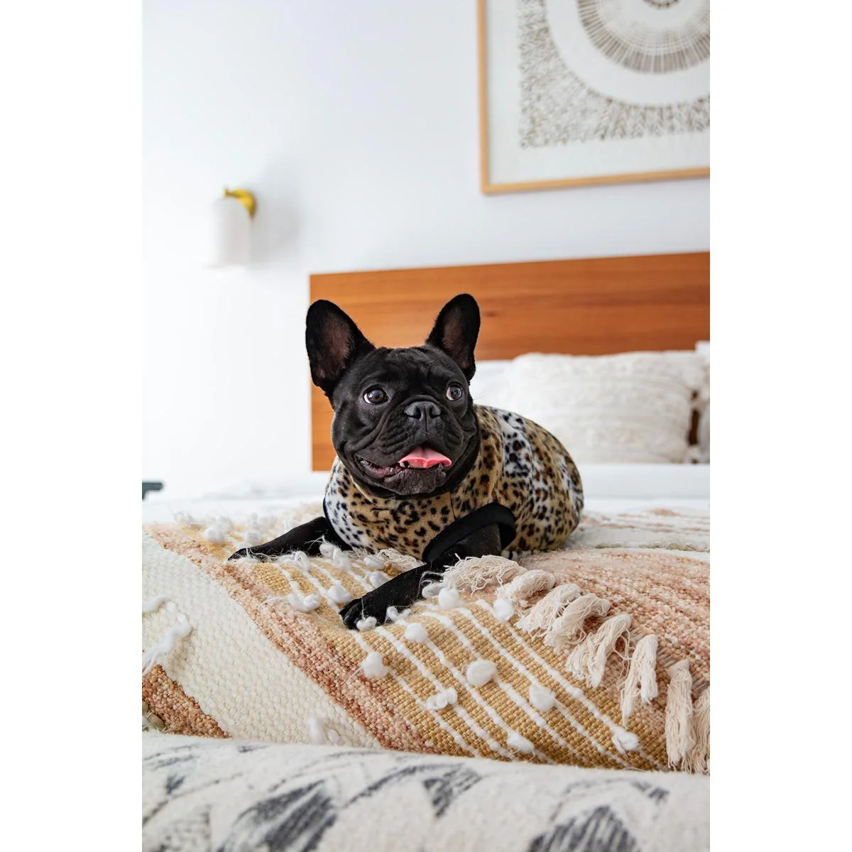 DGG Printed Warmie Dog Jumper Fierce - Image 7