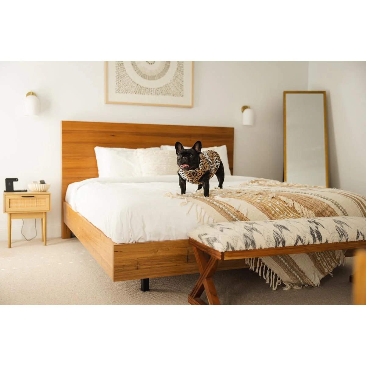 DGG Printed Warmie Dog Jumper Fierce - Image 9