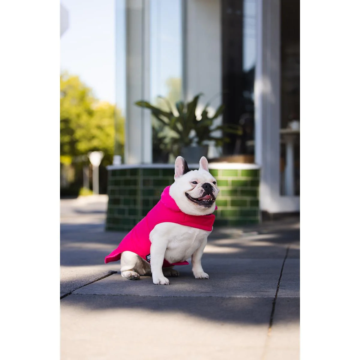 DGG Puffer Dog Jumper Stand Out Pink - Image 8