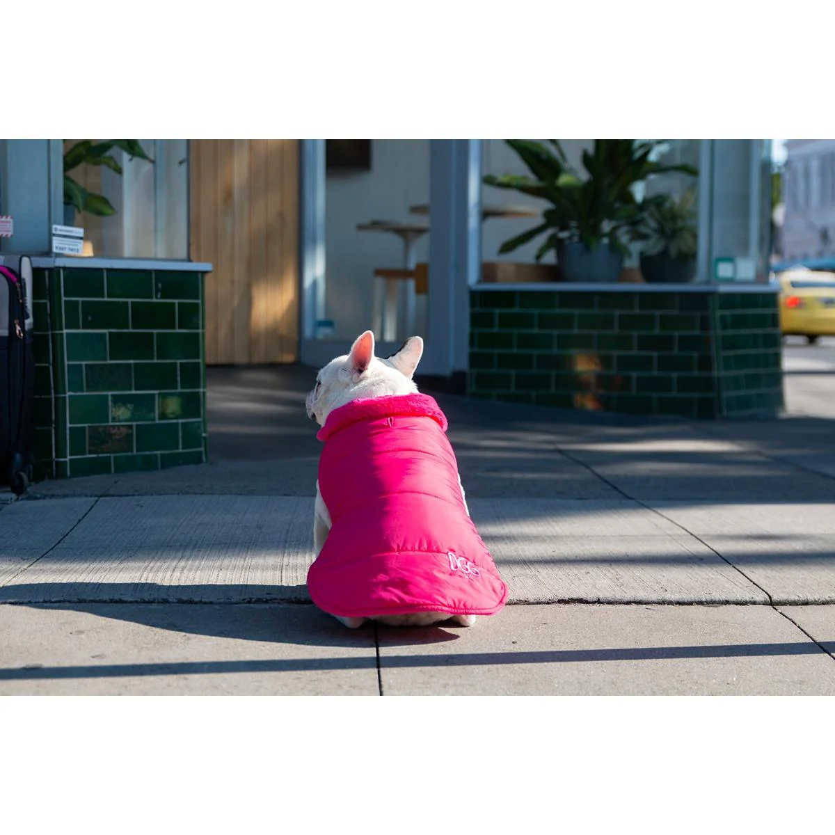 DGG Puffer Dog Jumper Stand Out Pink - Image 9