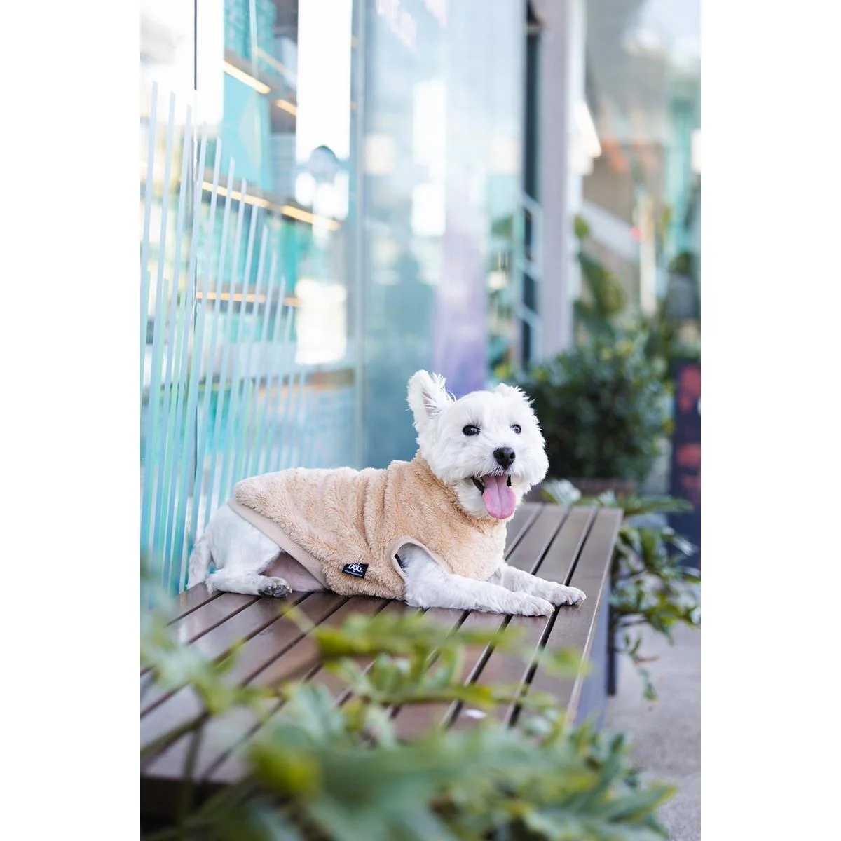 DGG Snuggly Dog Jumper Biscuit - Image 11