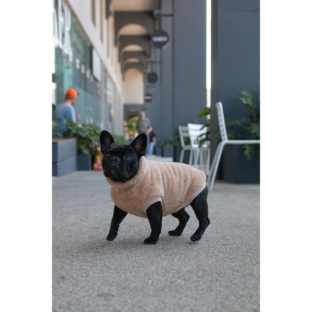 DGG Snuggly Dog Jumper Biscuit - Image 12