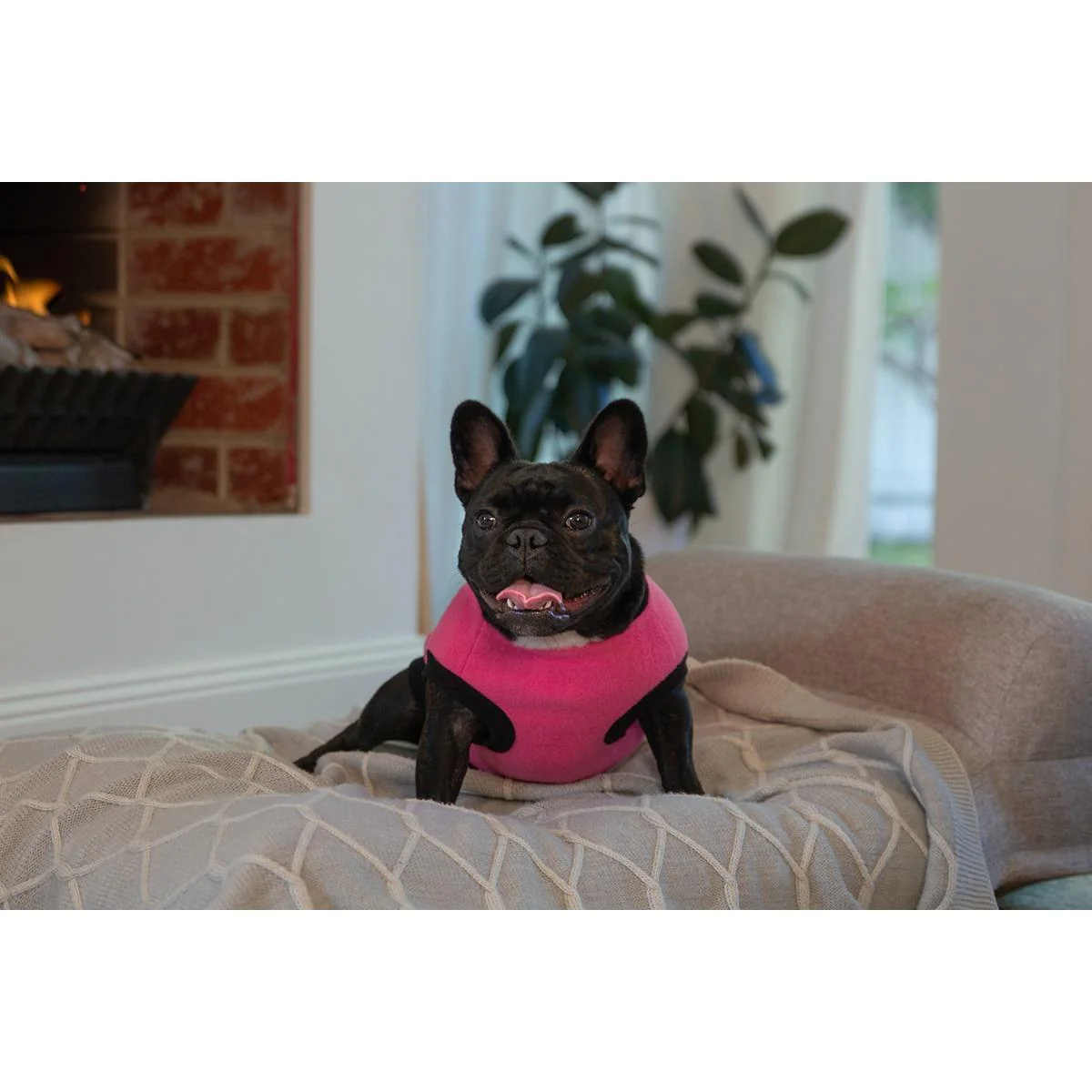 DGG Warmie Dog Jumper Fuschia - Image 8