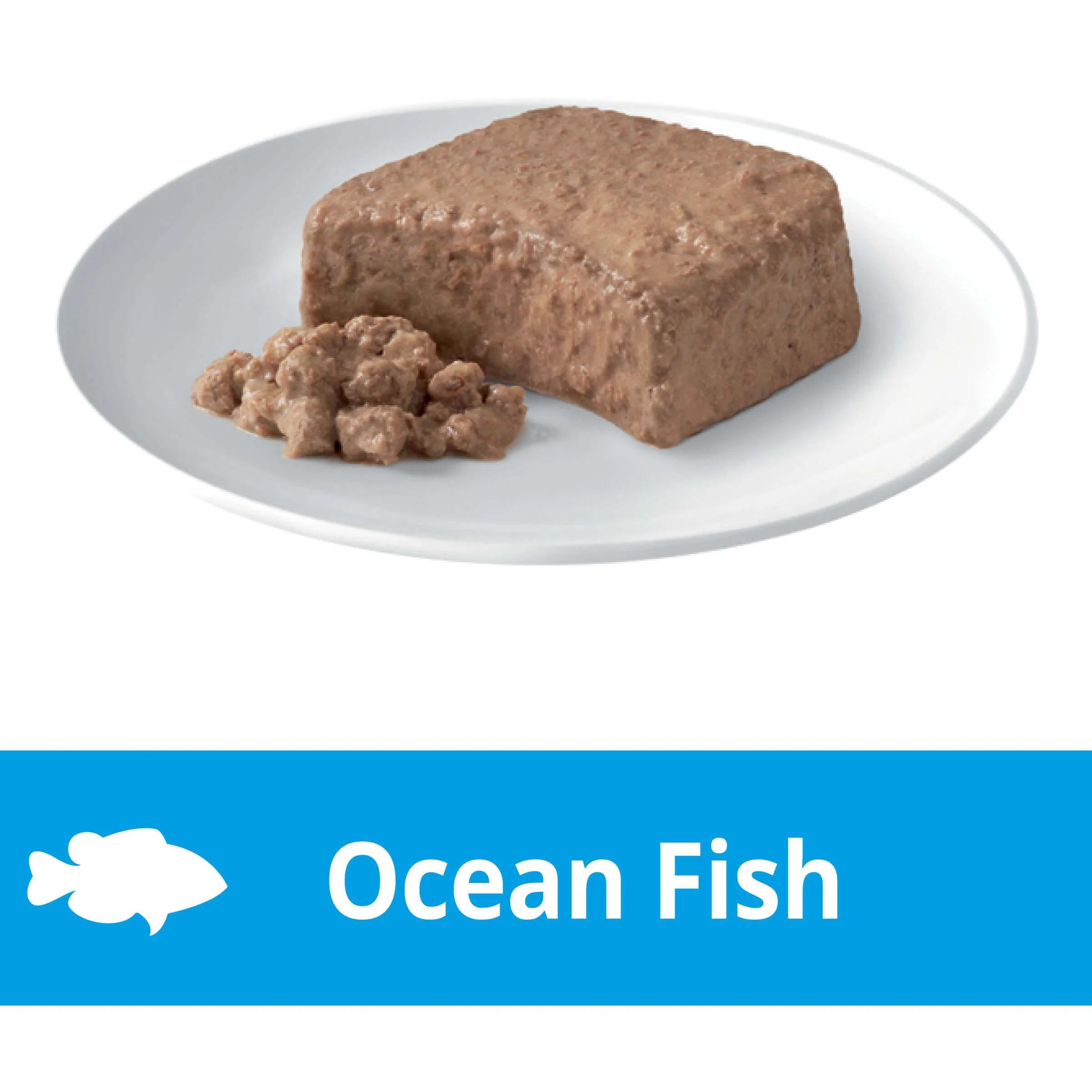 Dine Kitten Steamed Ocean Fish Wet Cat Food 85G - Image 3
