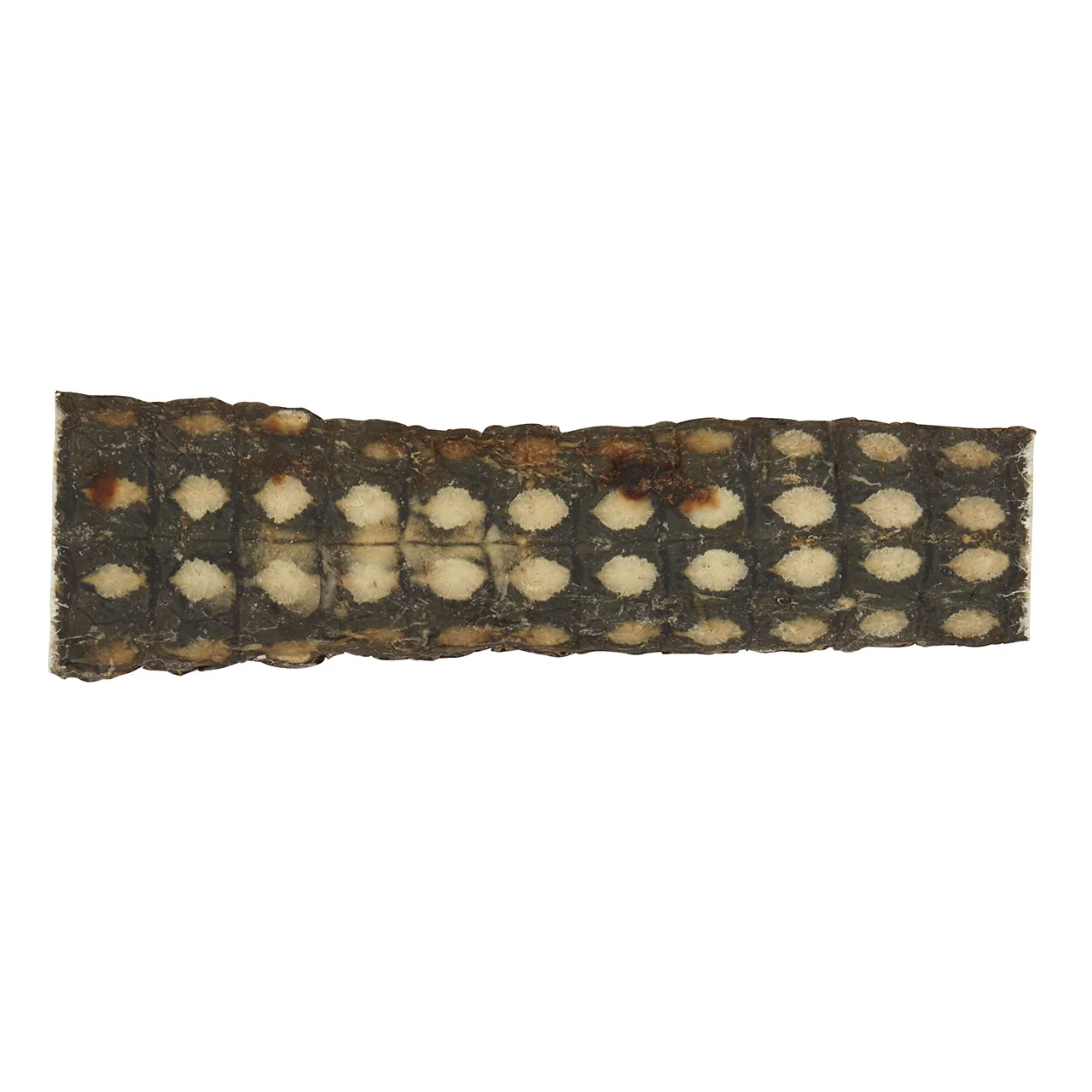 Dog n Bone Crocodile Skin Dog Treat - Image 3