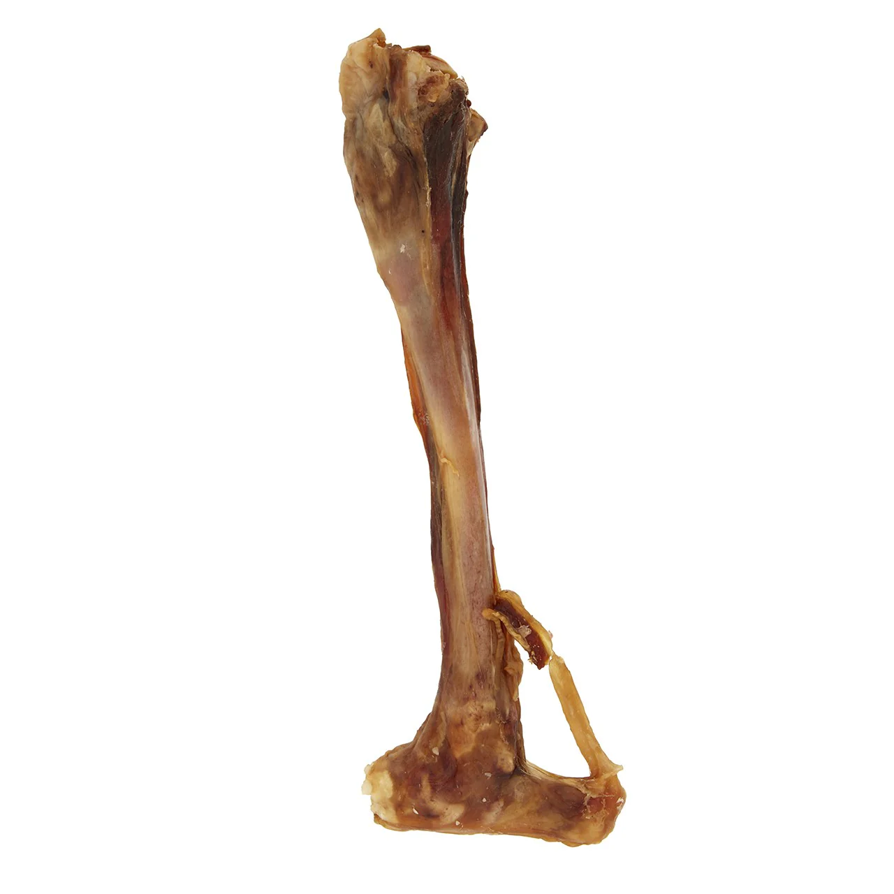 Dog n Bone Goat Straight Bone Dog Treat - Image 3