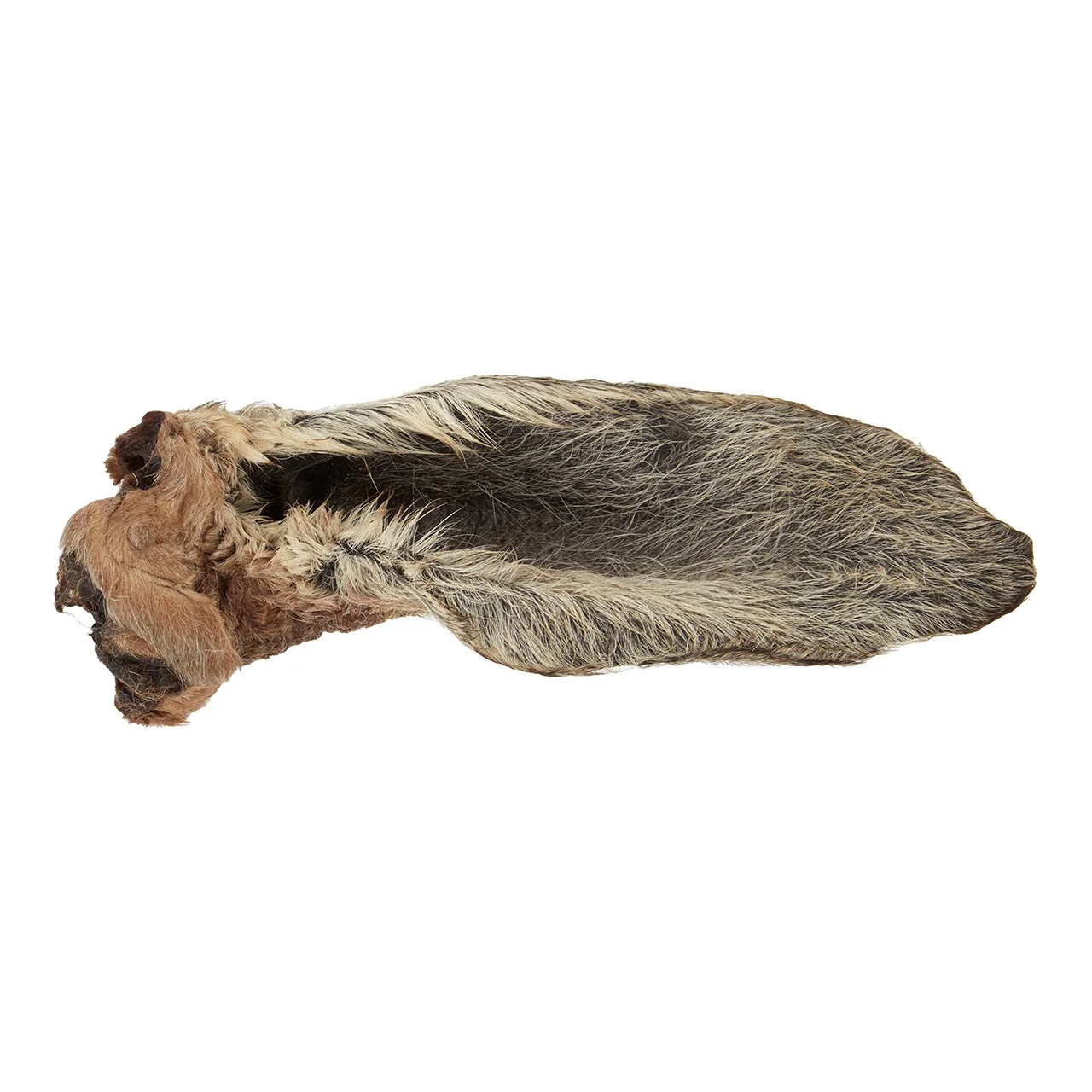 Dog n Bone Kangaroo Ear Dog Treat - Image 2
