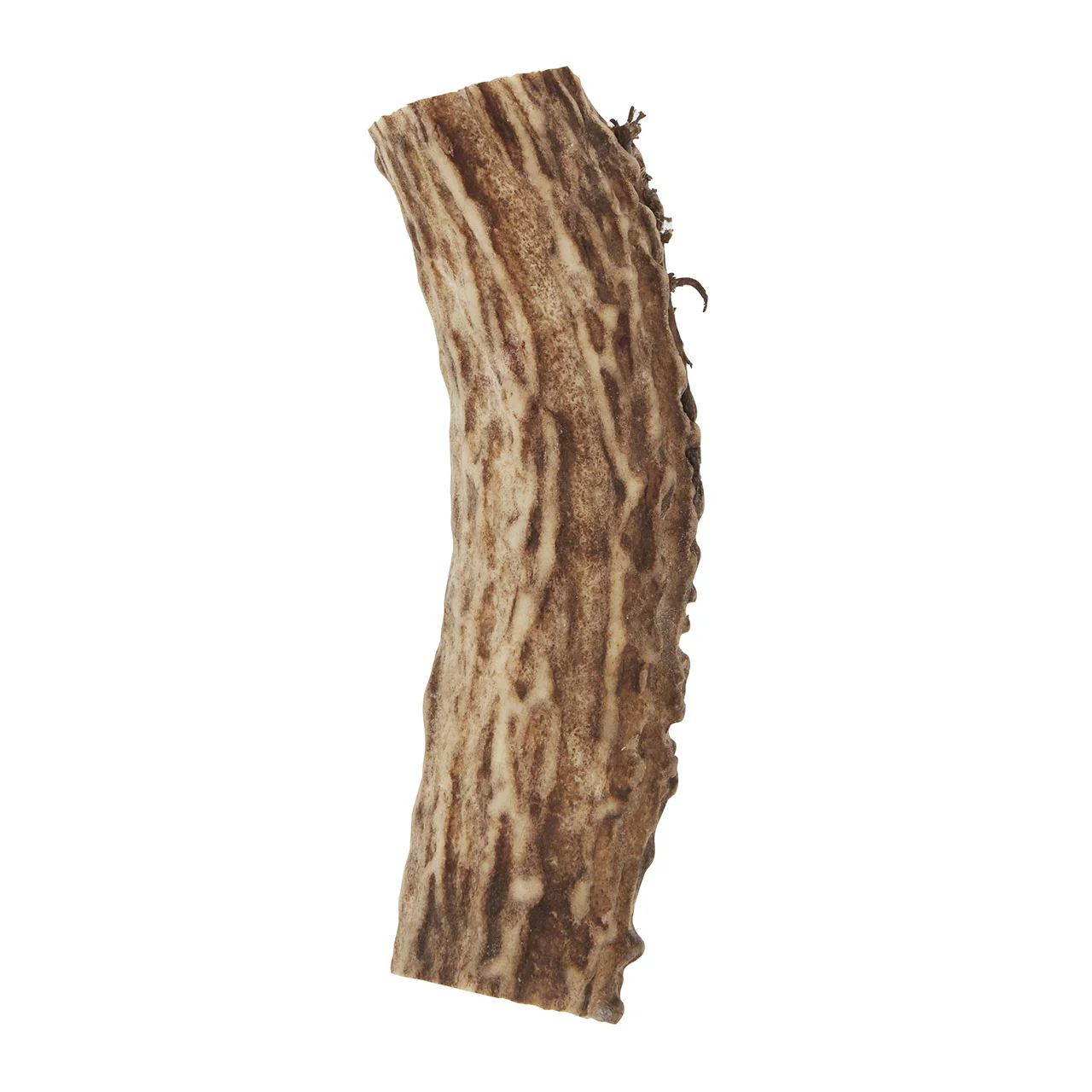 Dog n Bone Split Antler Dog Treat - Image 4
