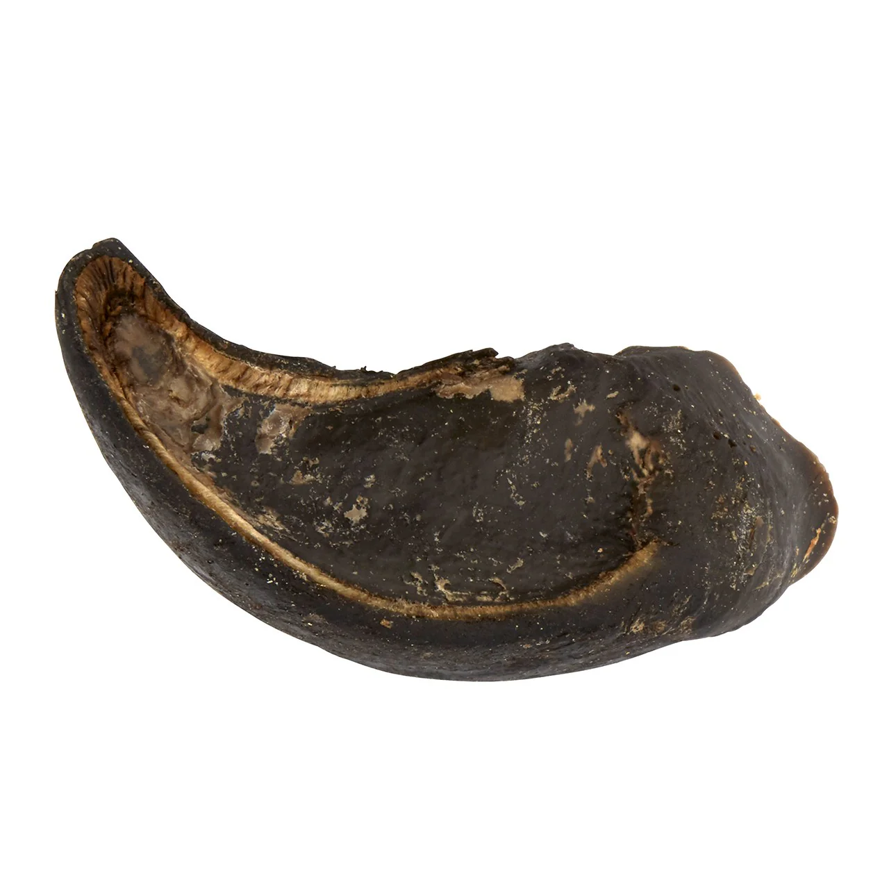 Dog n Bone Stuffed Hoof Chicken/Crocodile Dog Treat - Image 2