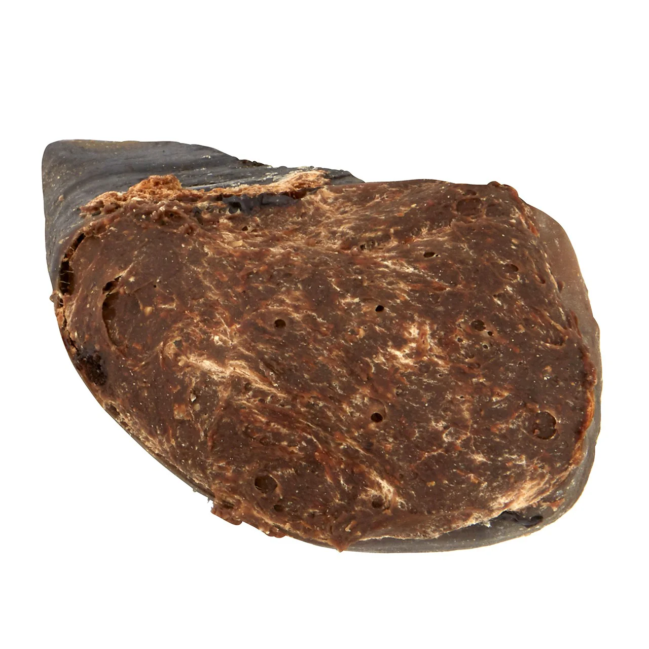 Dog n Bone Stuffed Hoof Kangaroo/Peanut Butter Dog Treat - Image 2