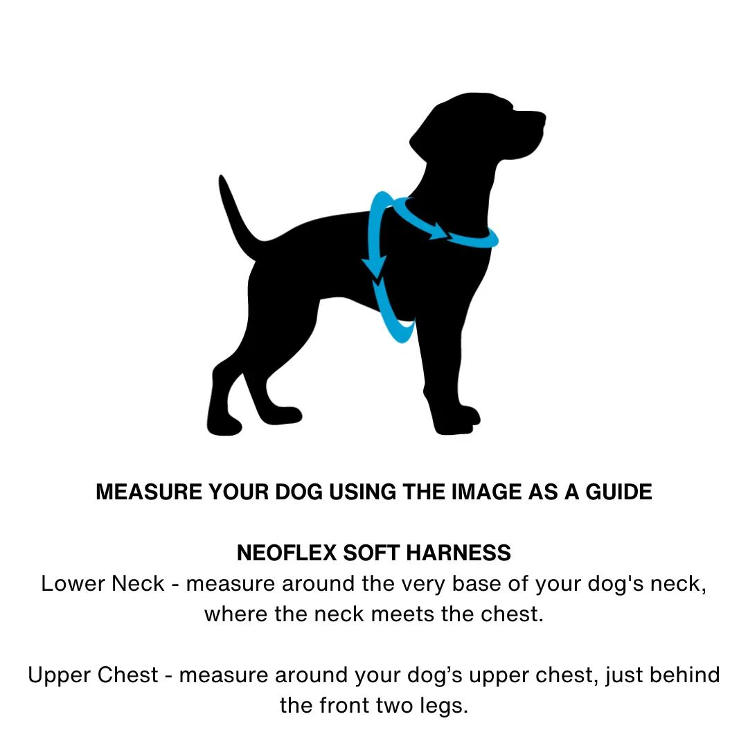 DOOG Neoflex Dash Dog Harness - Image 18