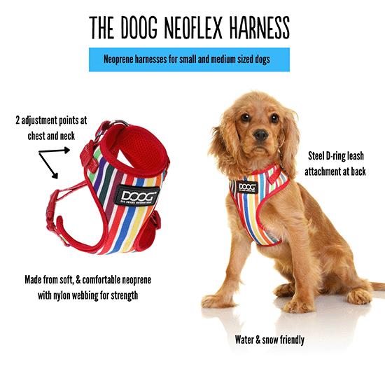 DOOG Neoflex Dog Harness Pongo - Image 17