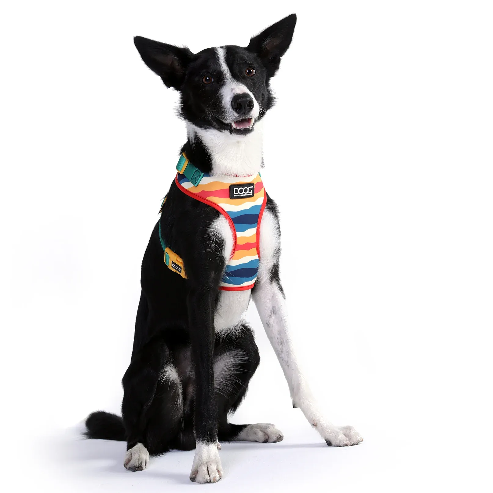 DOOG Neoflex Scout Dog Harness - Image 14