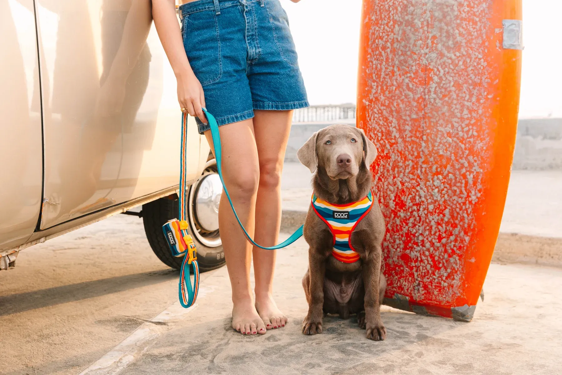 DOOG Neoprene Scout Clip It Dog - Image 4