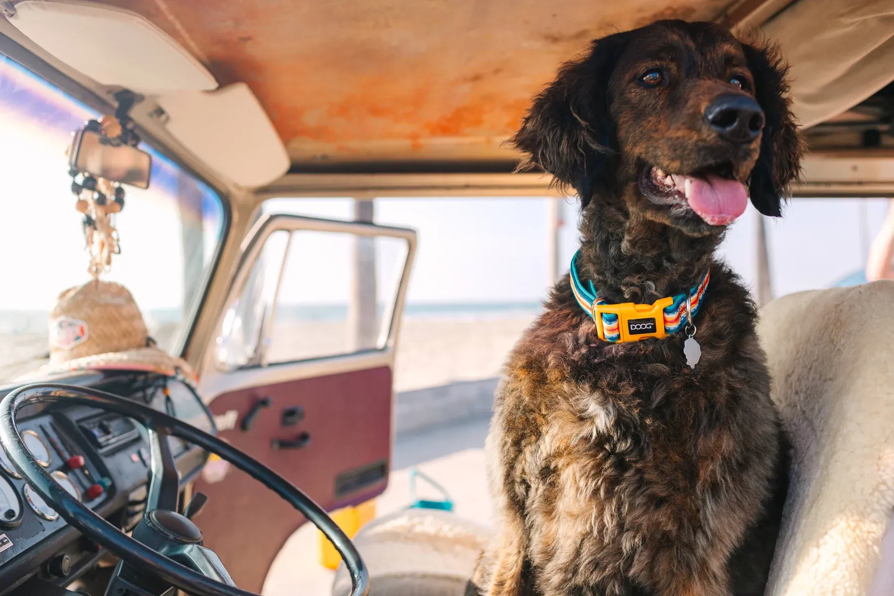 DOOG Neoprene Scout Dog Collar - Image 5
