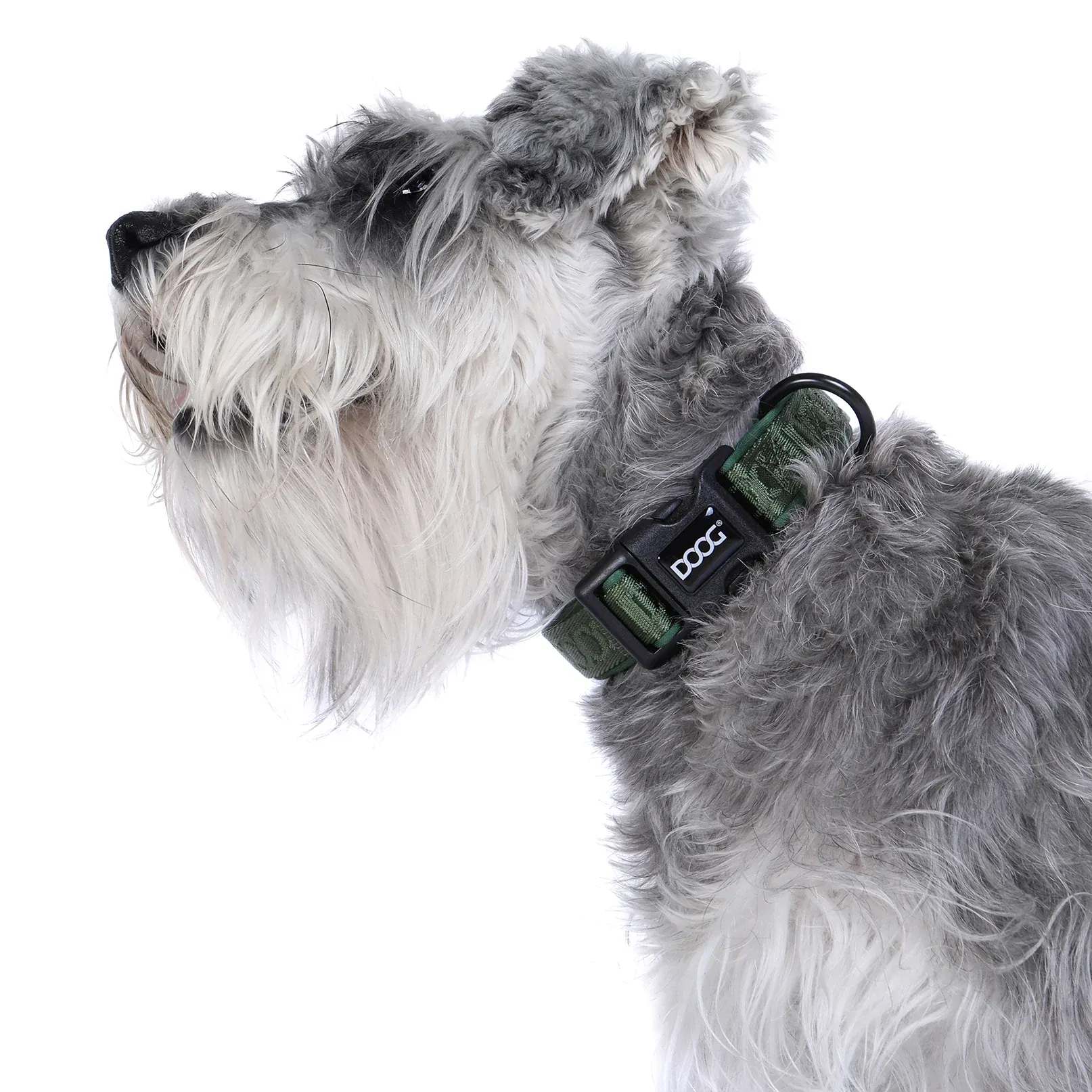 DOOG Neosport Neoprene Dog Collar - Image 7